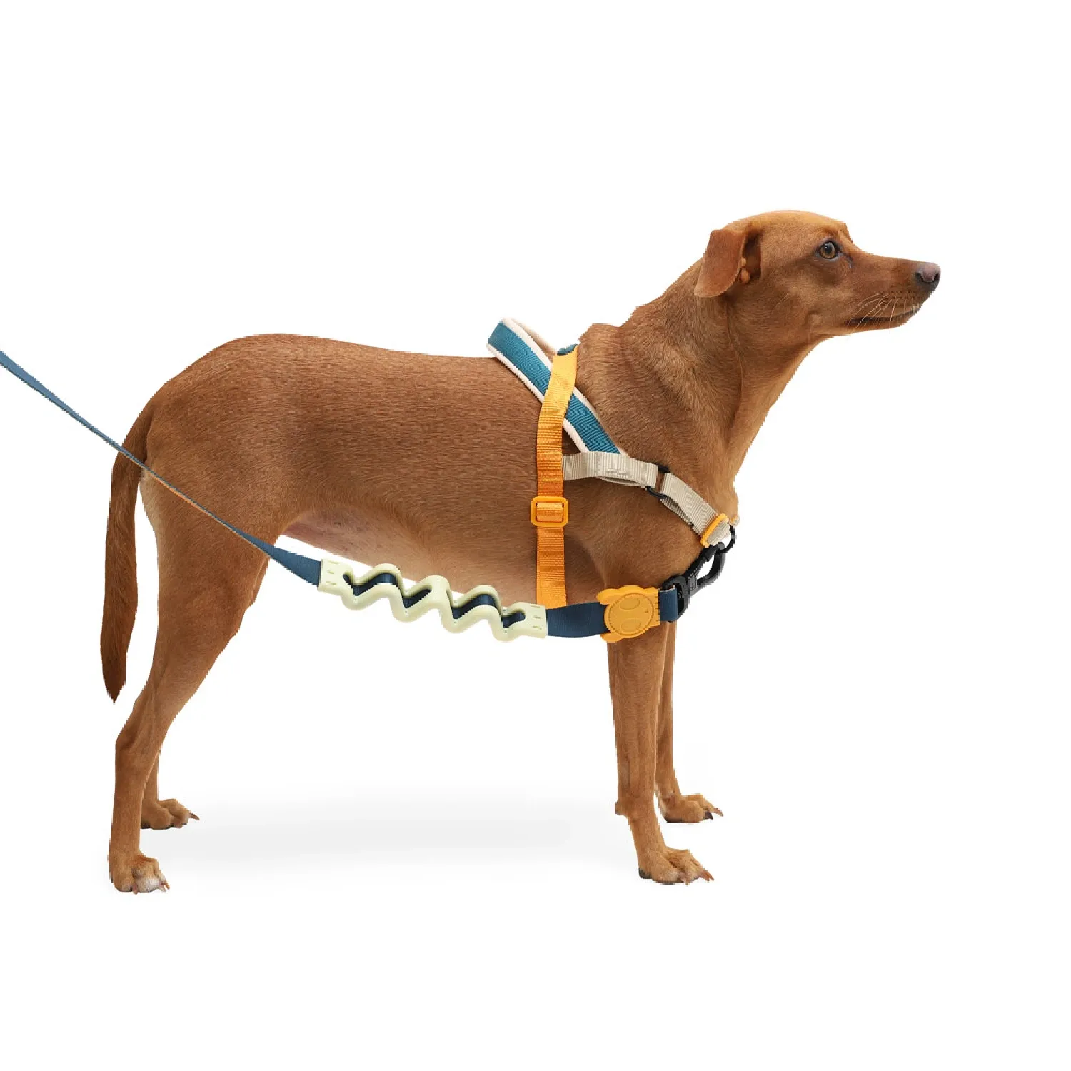 Peitoral Adestramento Cães SofterWalk Voyage Zee.Dog