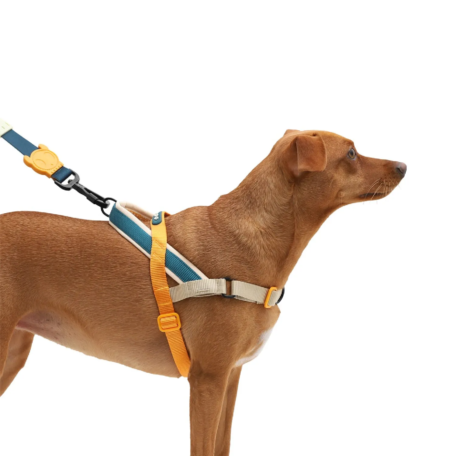 Peitoral Adestramento Cães SofterWalk Voyage Zee.Dog