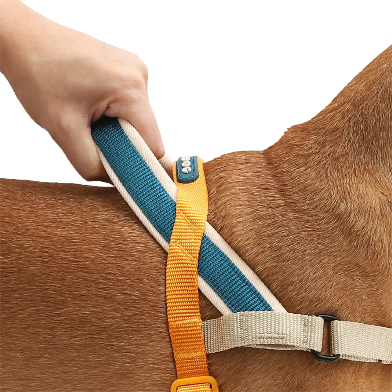 Peitoral Adestramento Cães SofterWalk Voyage Zee.Dog