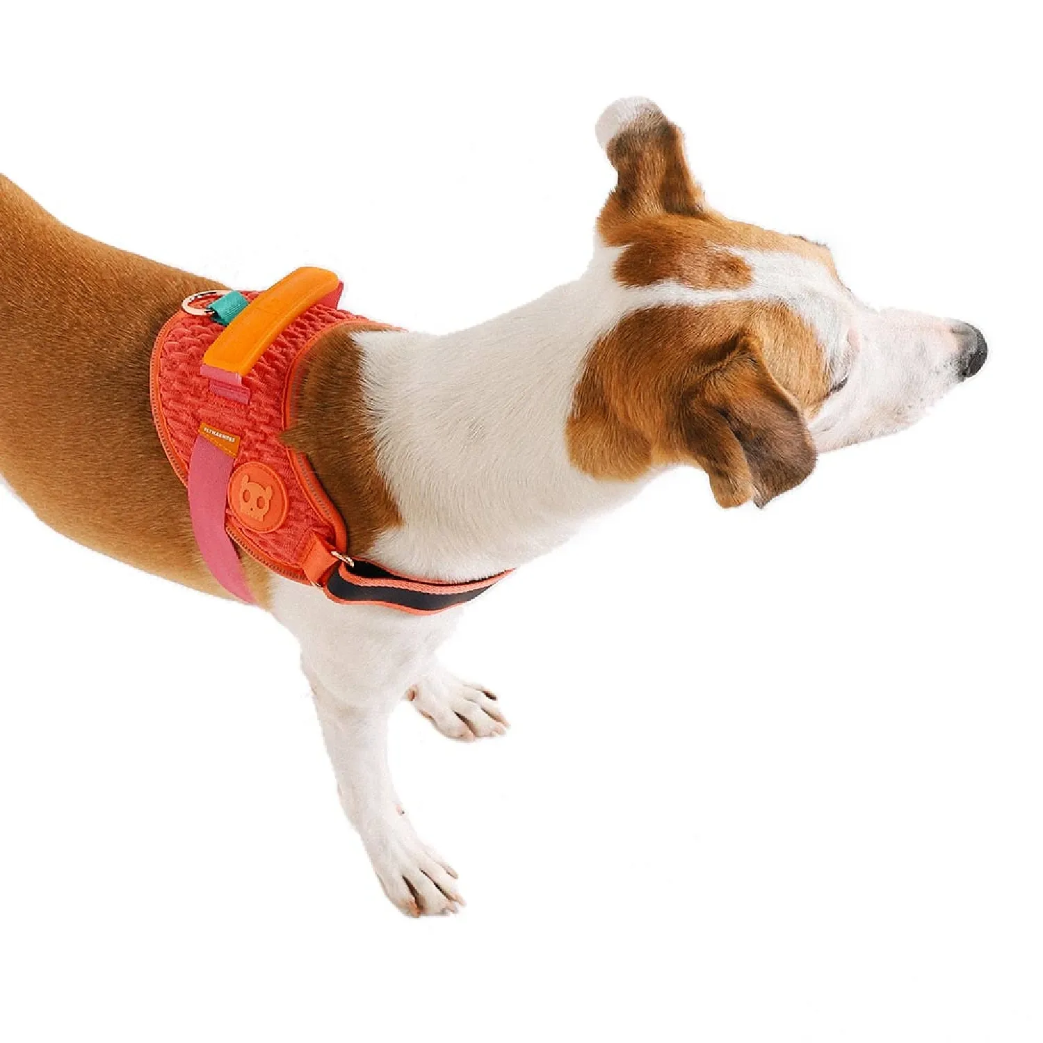 Peitoral para Cães FlyHarness Gazelle Zee.Dog