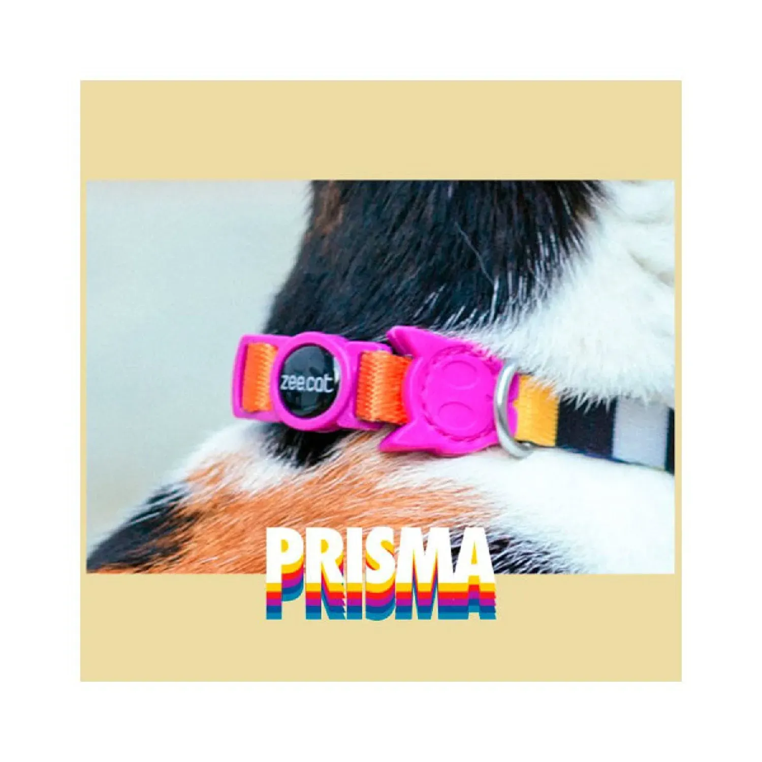 Coleira-para-Gatos-Prisma-Zee.Cat-4