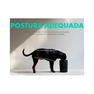 Comedouro-para-Caes-Regulavel-Bordeau-Zee.Dog-4