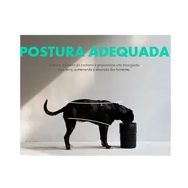 Comedouro-para-Caes-Regulavel-Gotham-Zee.Dog-6