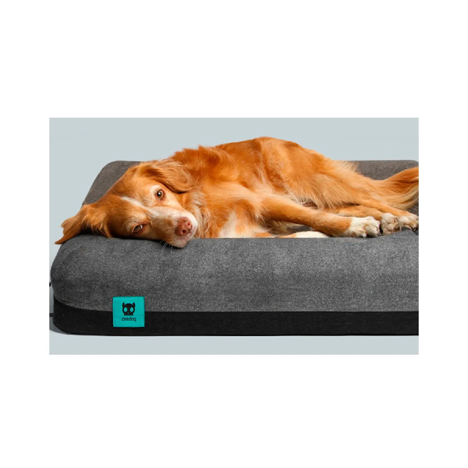 Cama Zee.Bed Skull para Cães Zee.Dog