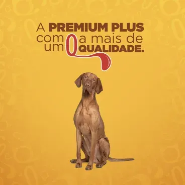 10-Racao-Quatree-Gourmet-Caes-Adultos-Mix-de-Carnes
