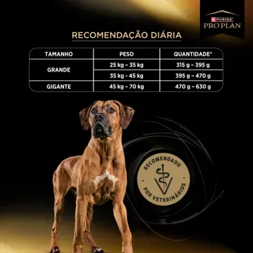 Cuidado-Excep-Cao-AD-Grande-Recomendacao-Diaria
