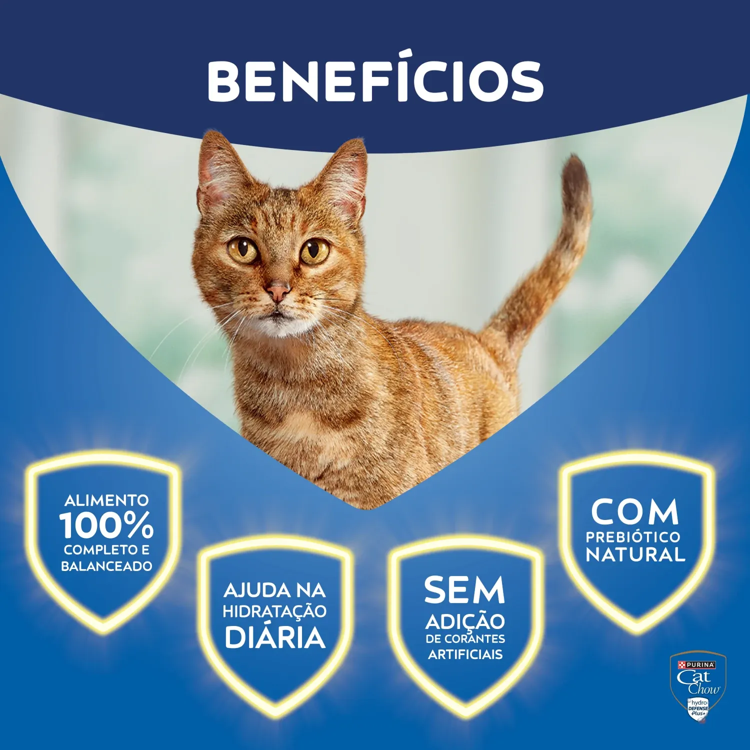 Racao-Umida-Cat-Chow-Adultos-Carne-6
