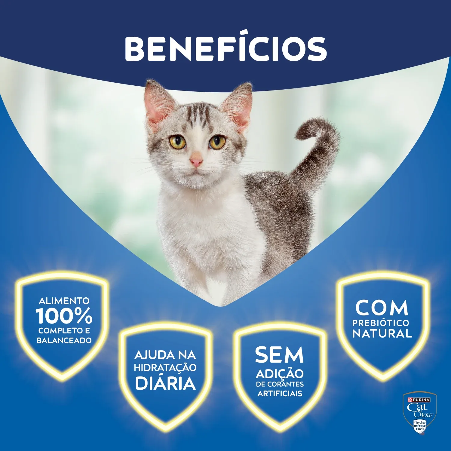 Racao-Umida-Cat-Chow-Filhotes-Frango-6