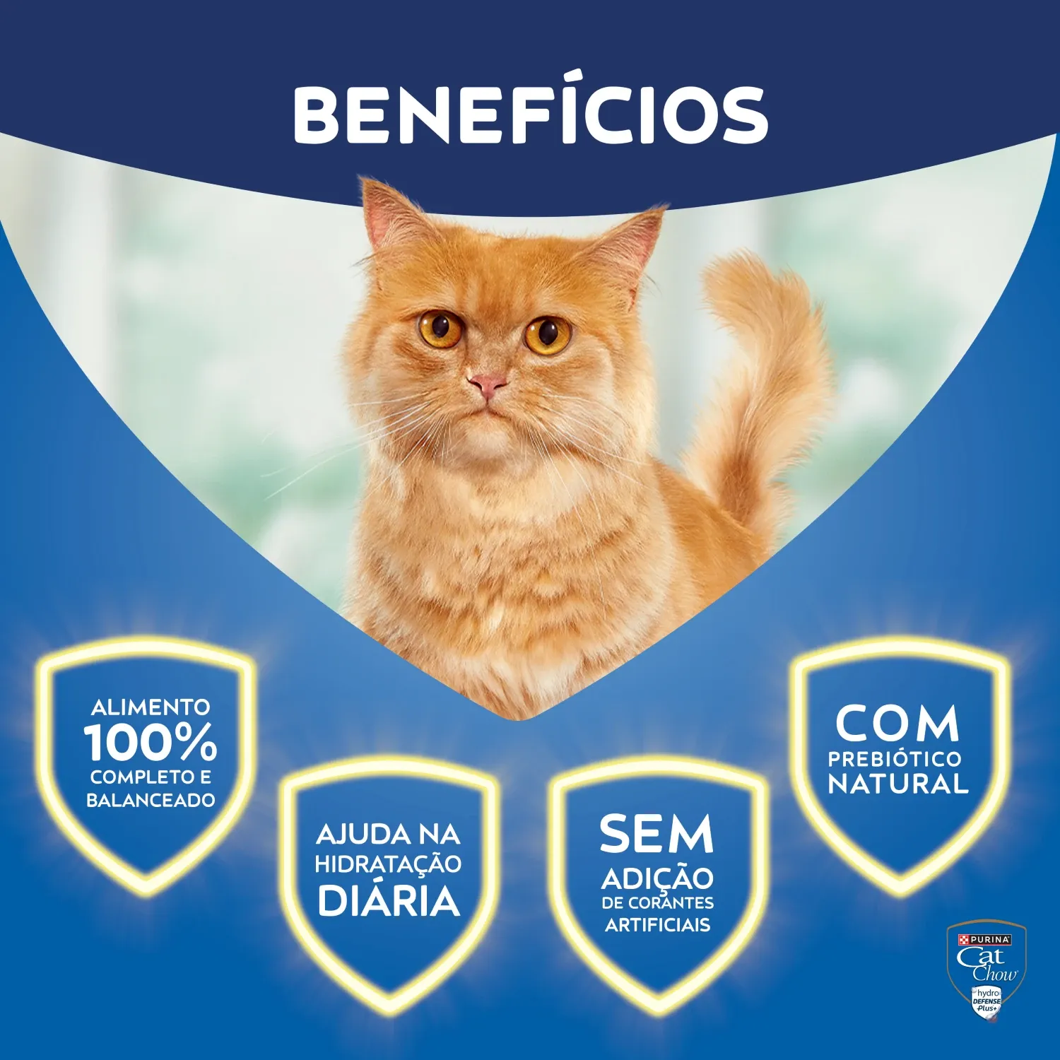 Racao-Umida-Cat-Chow-Adultos-Frango-6