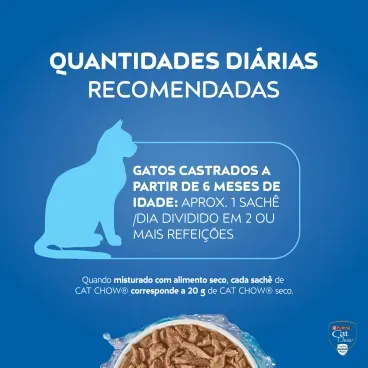 Racao-Umida-Cat-Chow-Adultos-Frango-8