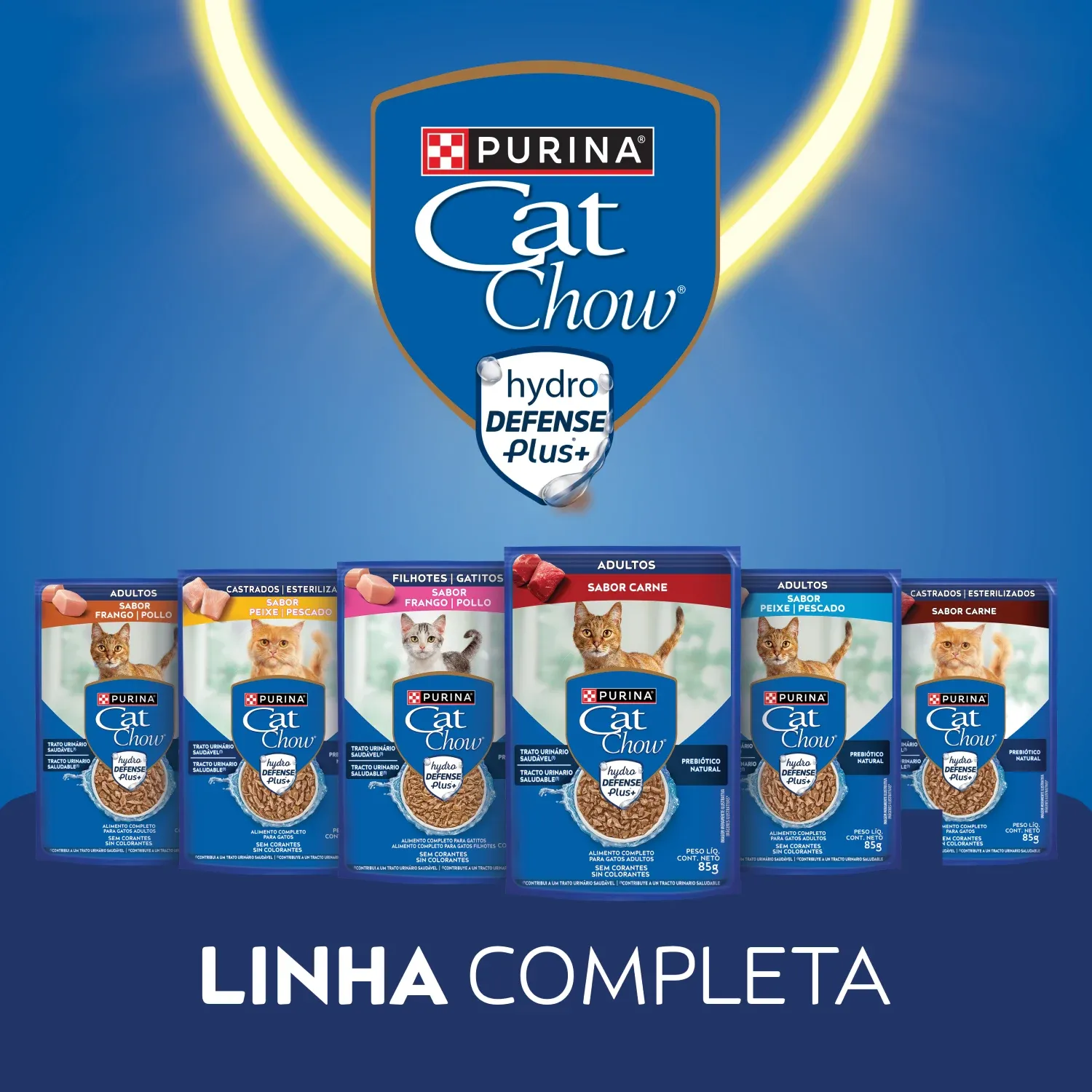 Racao-Umida-Cat-Chow-Adultos-Frango-11