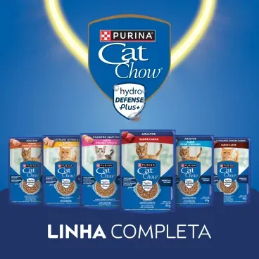 Racao-Umida-Cat-Chow-Adultos-Frango-11