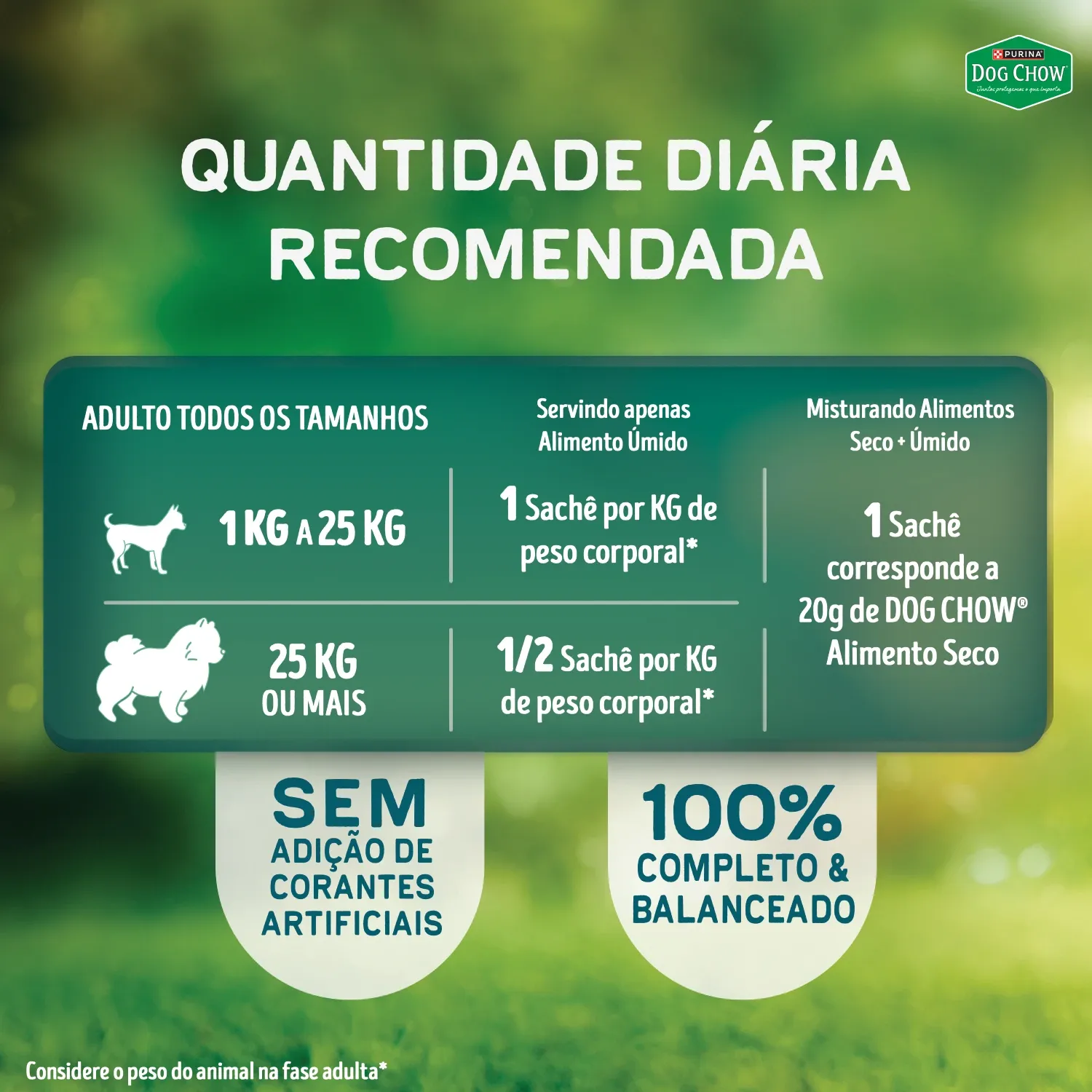 Racao-Umida-Dog-Chow-Caes-Adultos-Tripla-Proteina-7