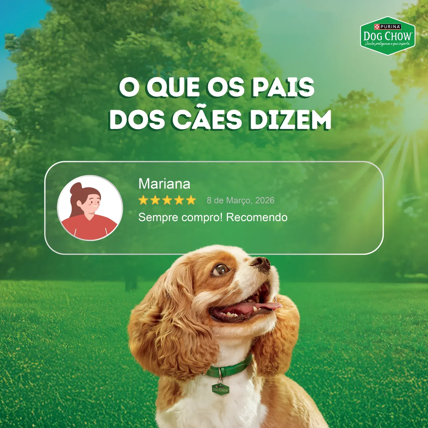 Racao-Umida-Dog-Chow-Caes-Adultos-Tripla-Proteina-8