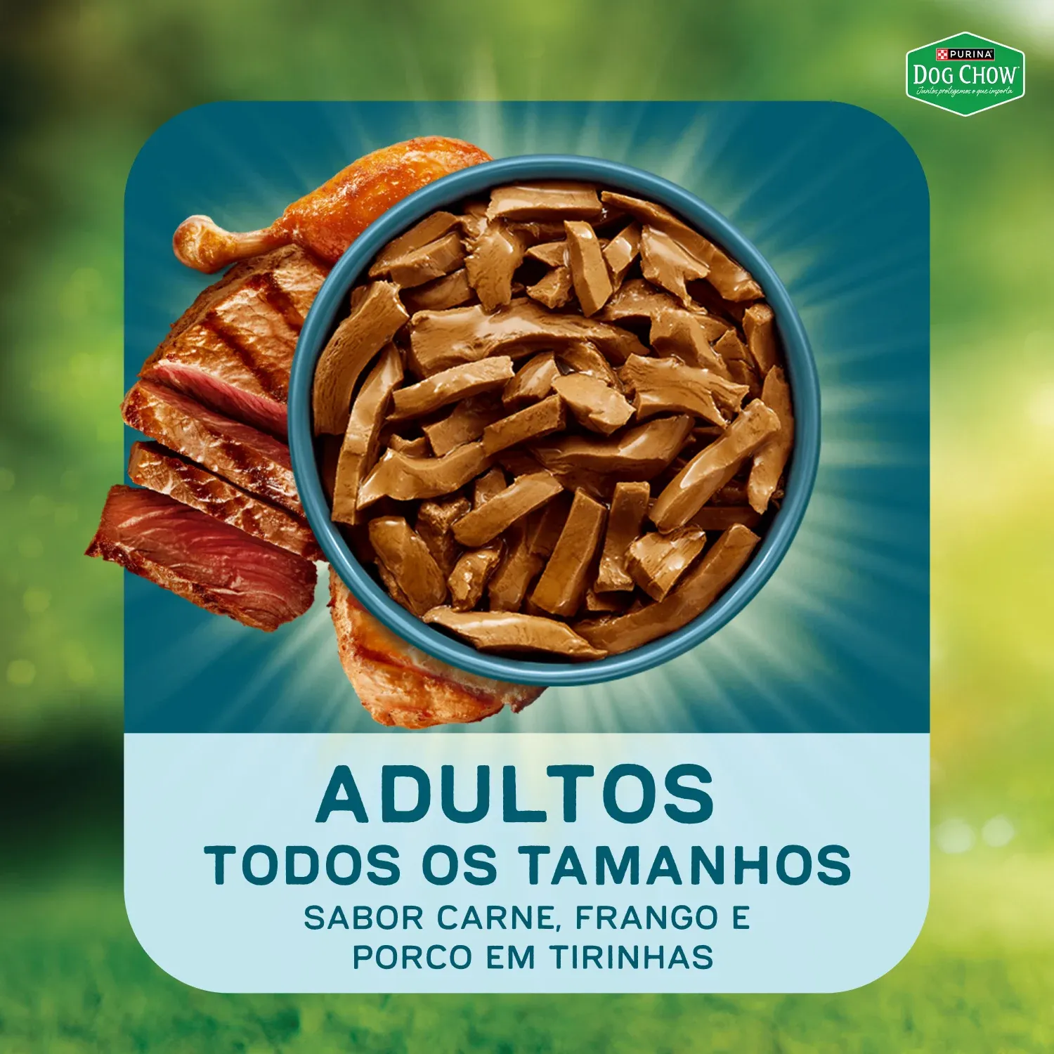 Racao-Umida-Dog-Chow-Caes-Adultos-Tripla-Proteina-9
