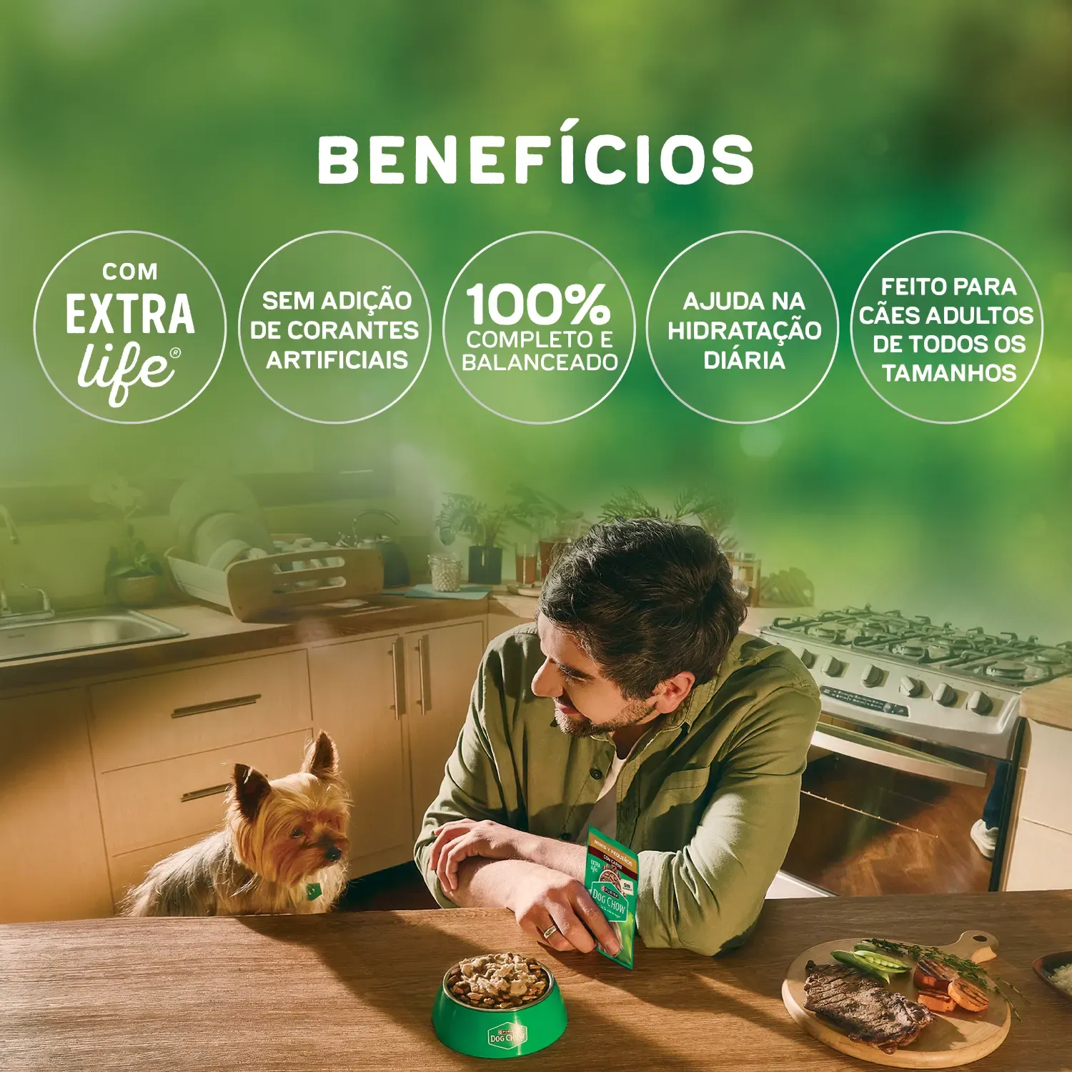 Racao-Umida-Dog-Chow-Caes-Adultos-Tripla-Proteina-4