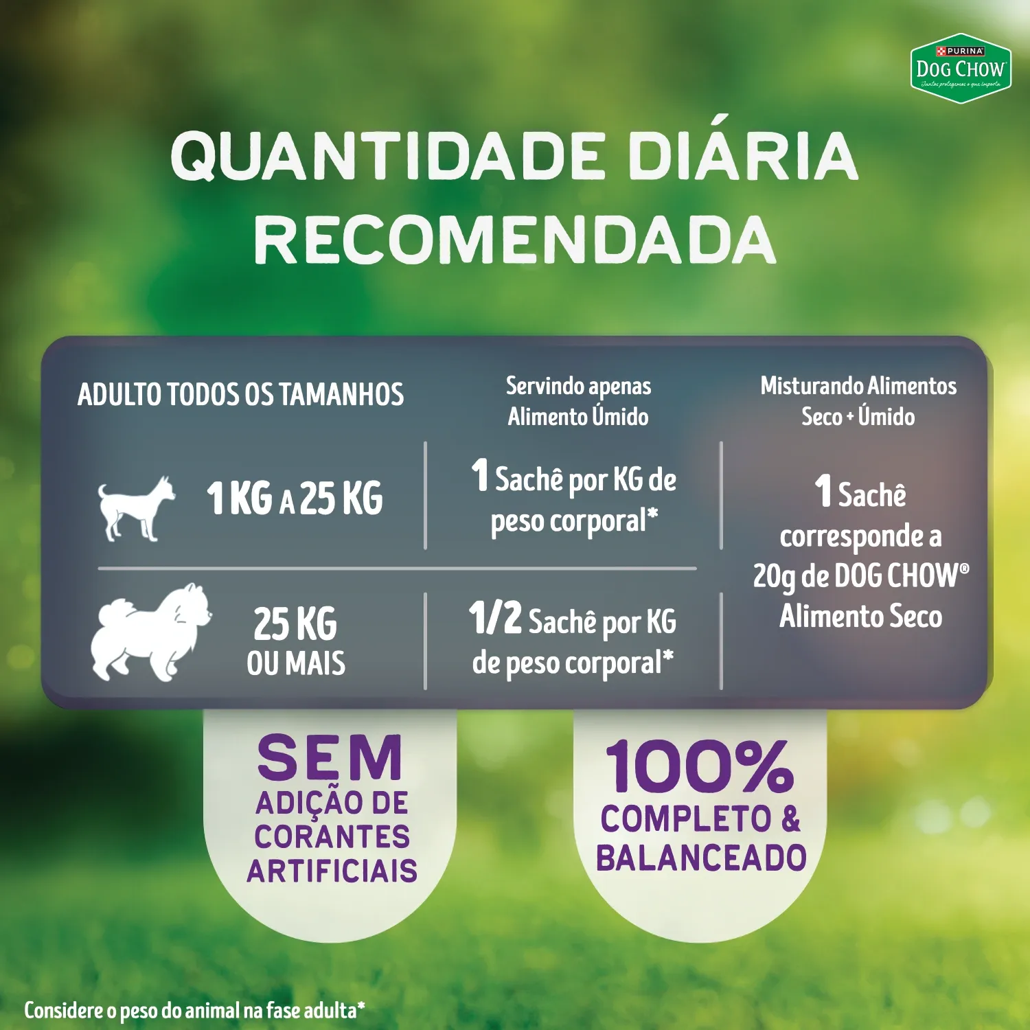 Racao-Umida-Dog-Chow-Caes-Adultos-Tripla-Proteina-7