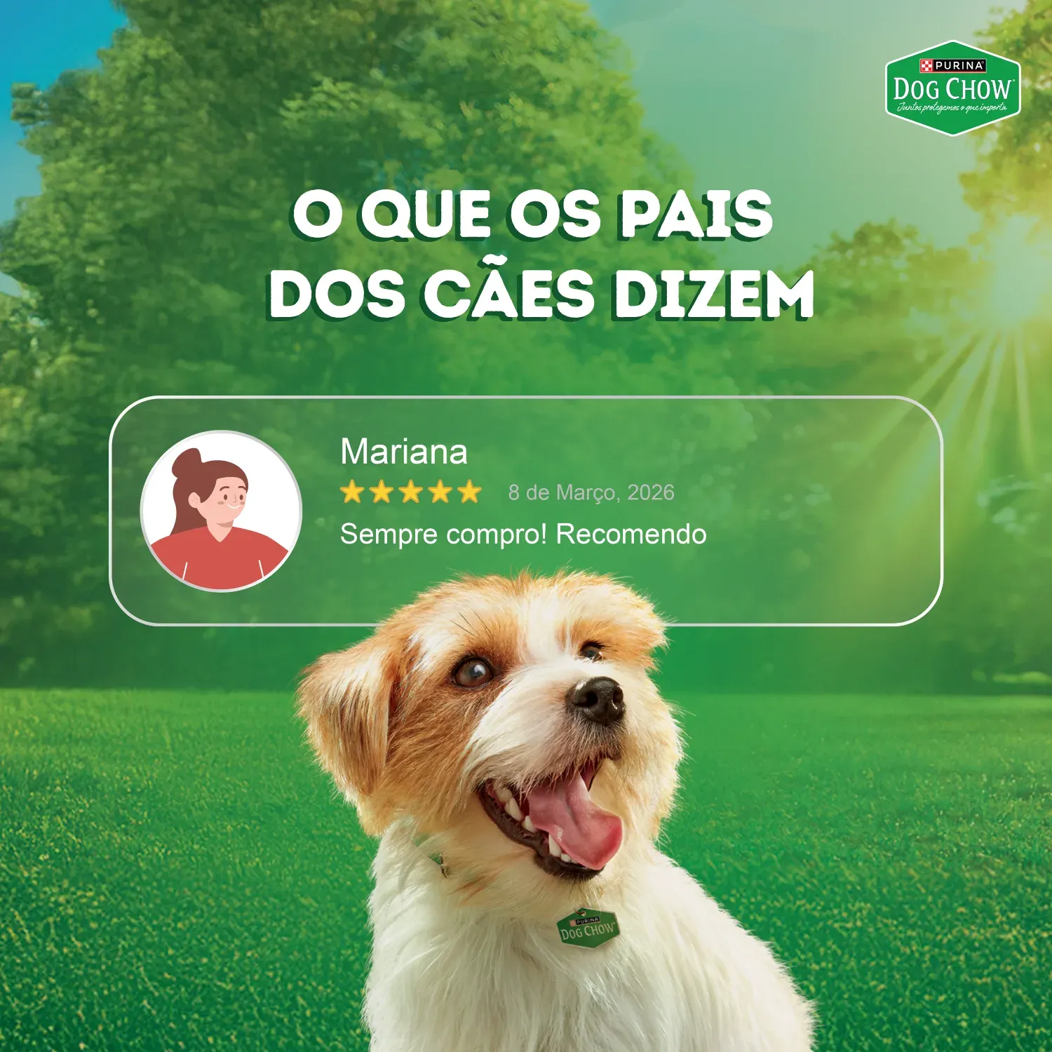 Racao-Umida-Dog-Chow-Caes-Adultos-Tripla-Proteina-8