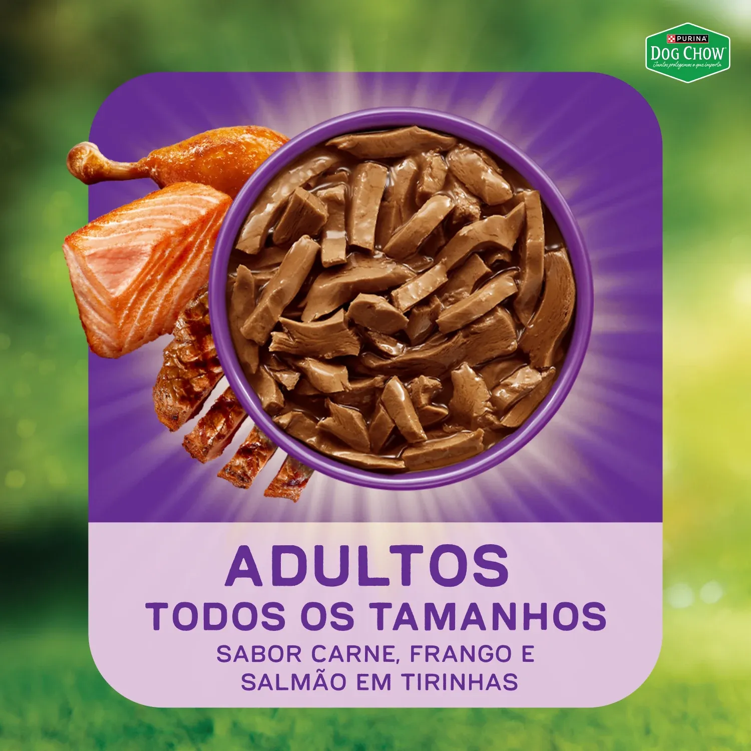 Racao-Umida-Dog-Chow-Caes-Adultos-Tripla-Proteina-9