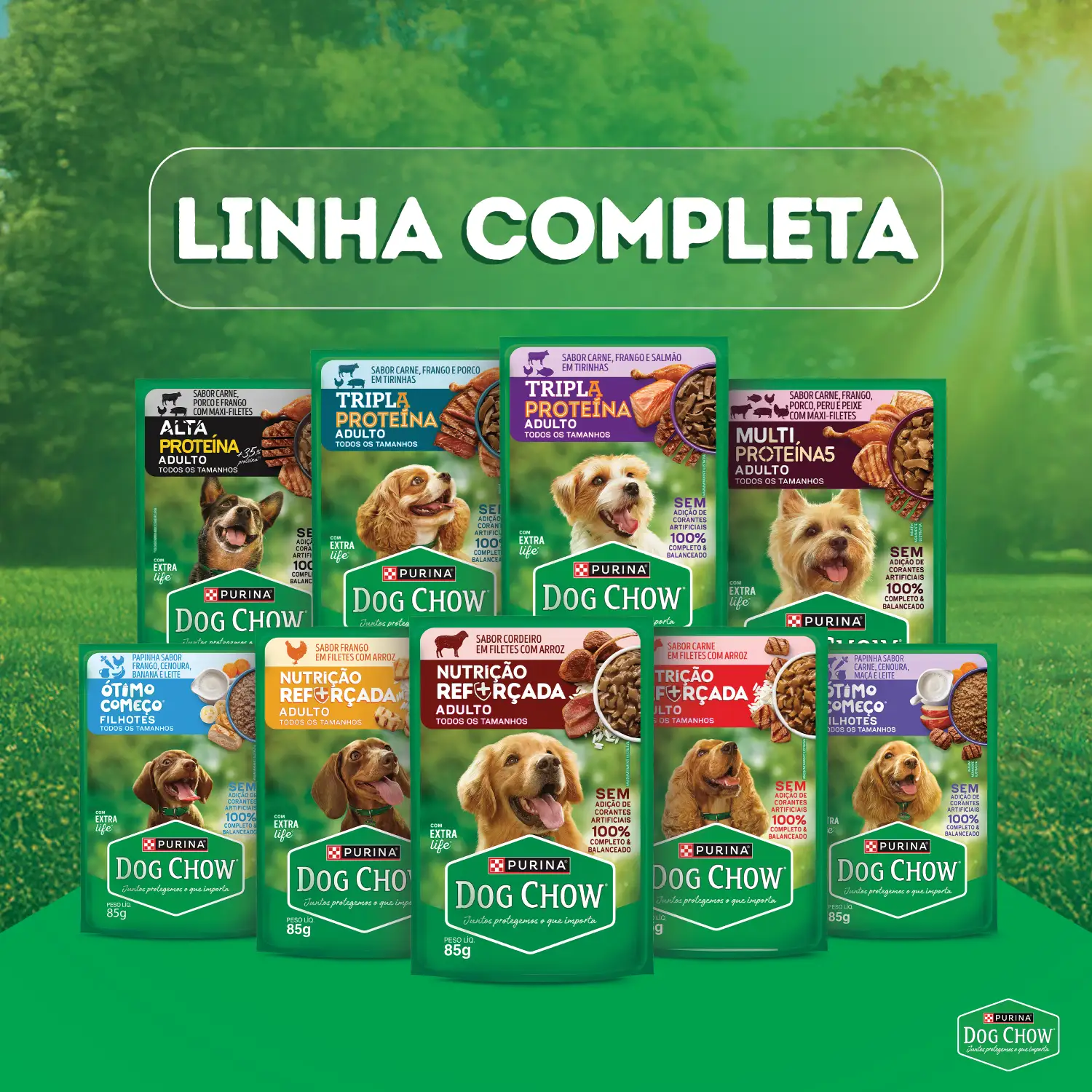 Racao-Umida-Dog-Chow-Caes-Adultos-Tripla-Proteina-11