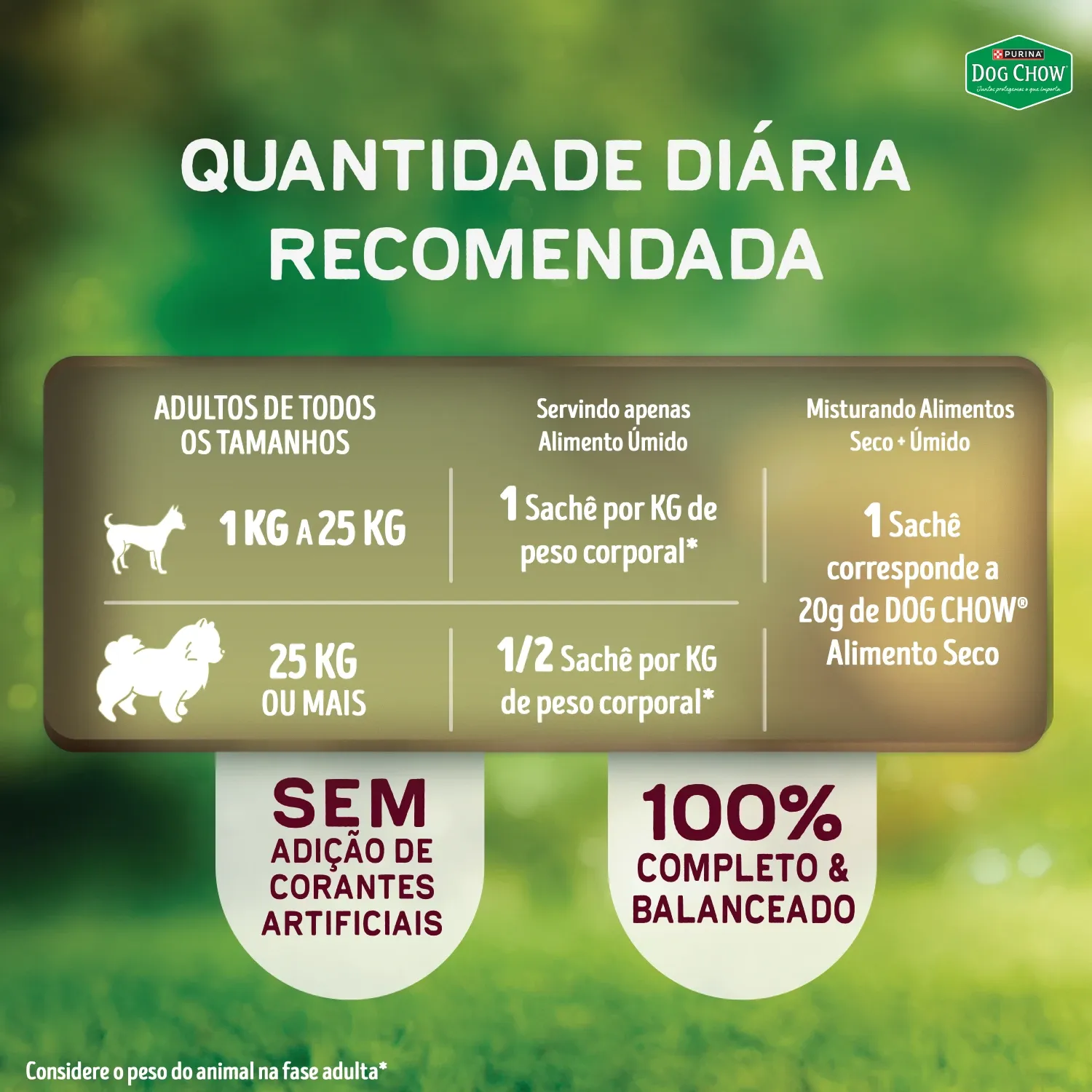 Racao-Umida-Dog-Chow-Caes-Adultos-Multiproteina5-7