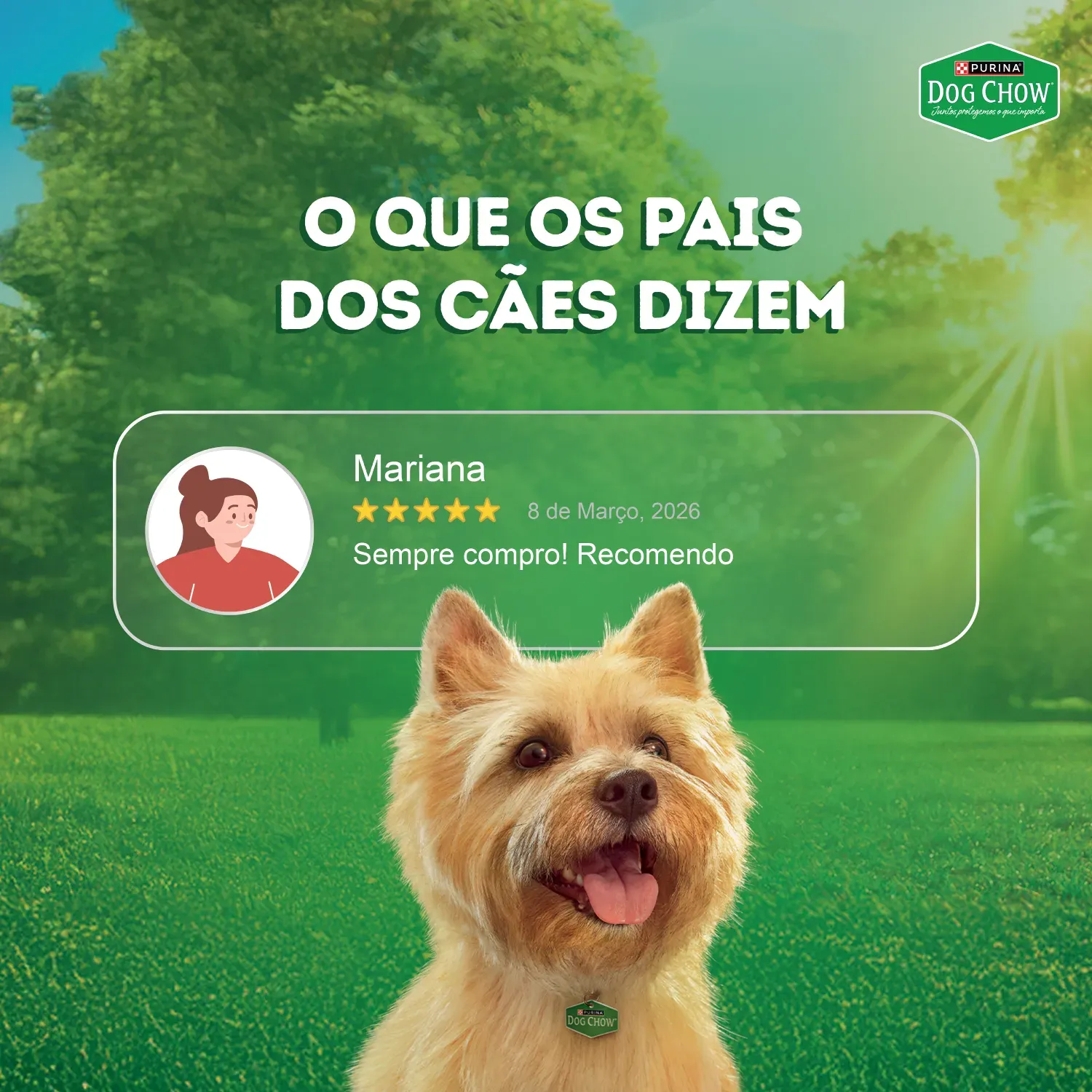 Racao-Umida-Dog-Chow-Caes-Adultos-Multiproteina5--8