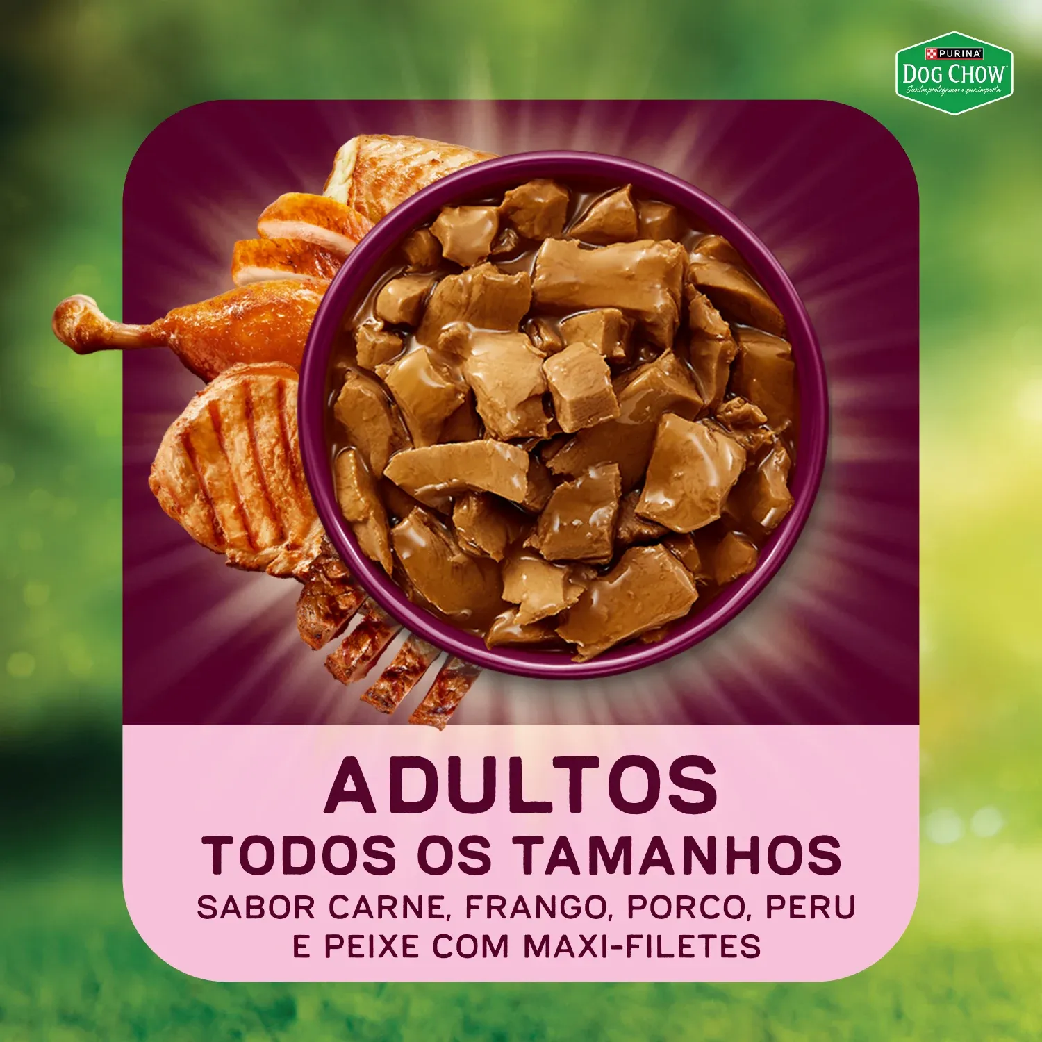 Racao-Umida-Dog-Chow-Caes-Adultos-Multiproteina5--9