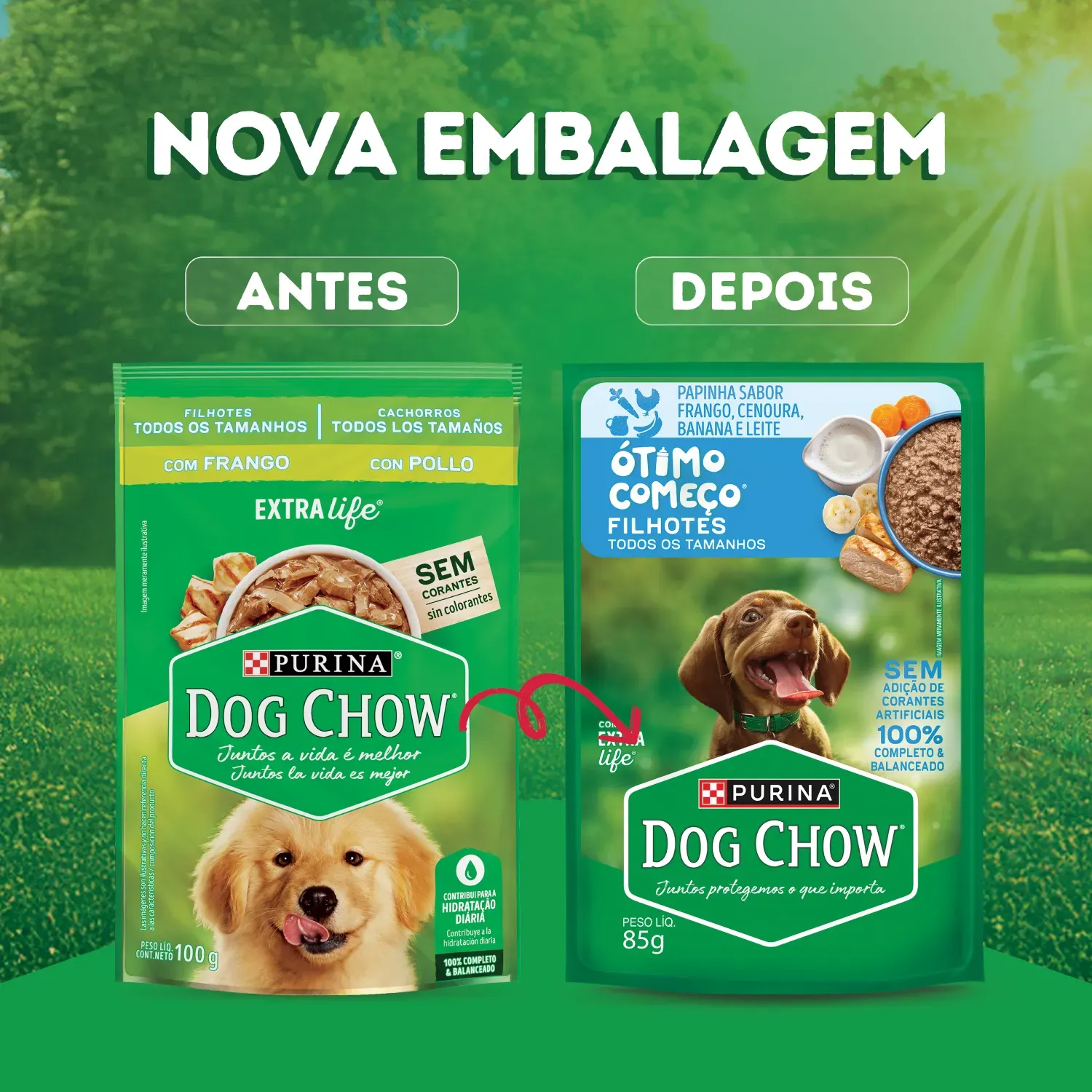 Racao-Umida-Dog-Chow-Caes-Filhotes-4