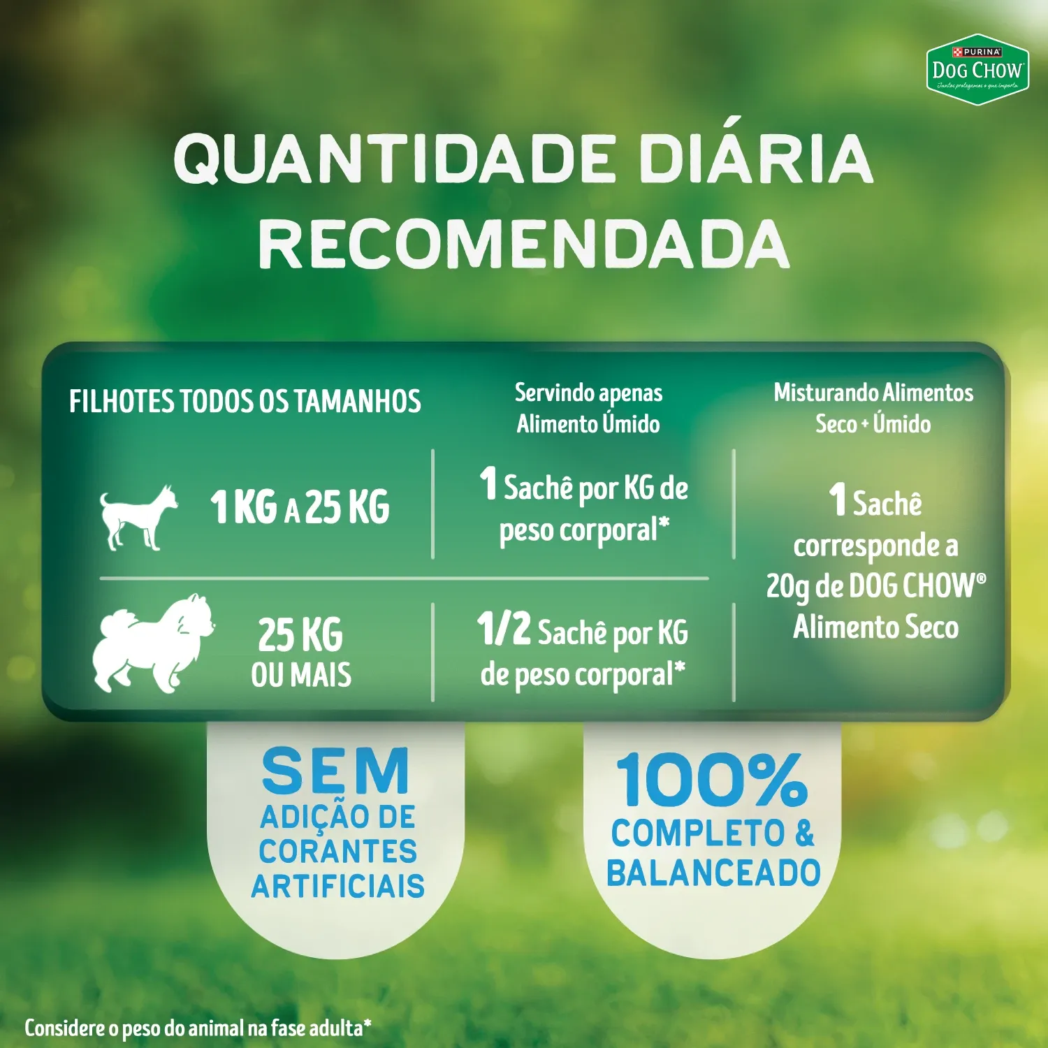Racao-Umida-Dog-Chow-Caes-Filhotes-8