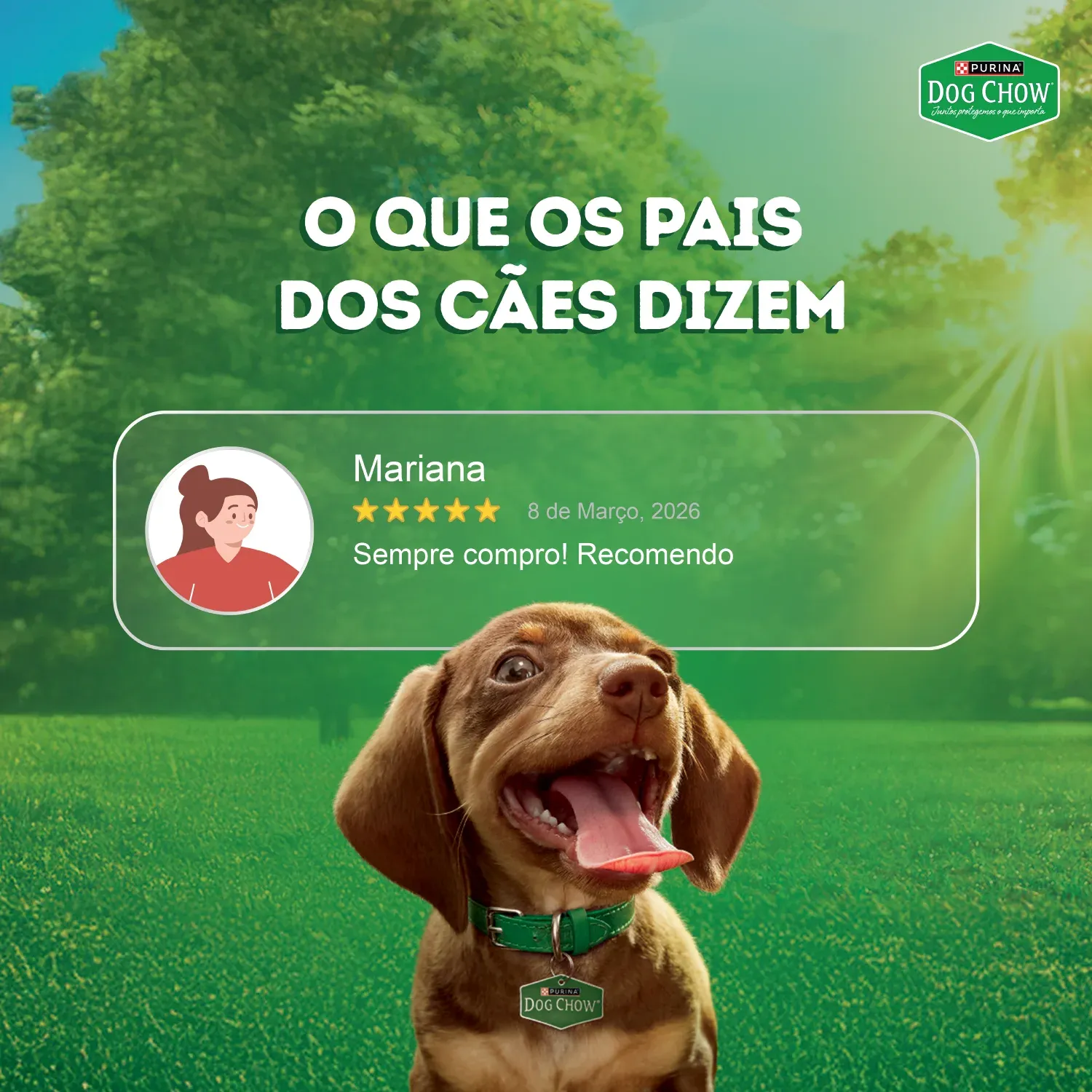 Racao-Umida-Dog-Chow-Caes-Filhotes-9