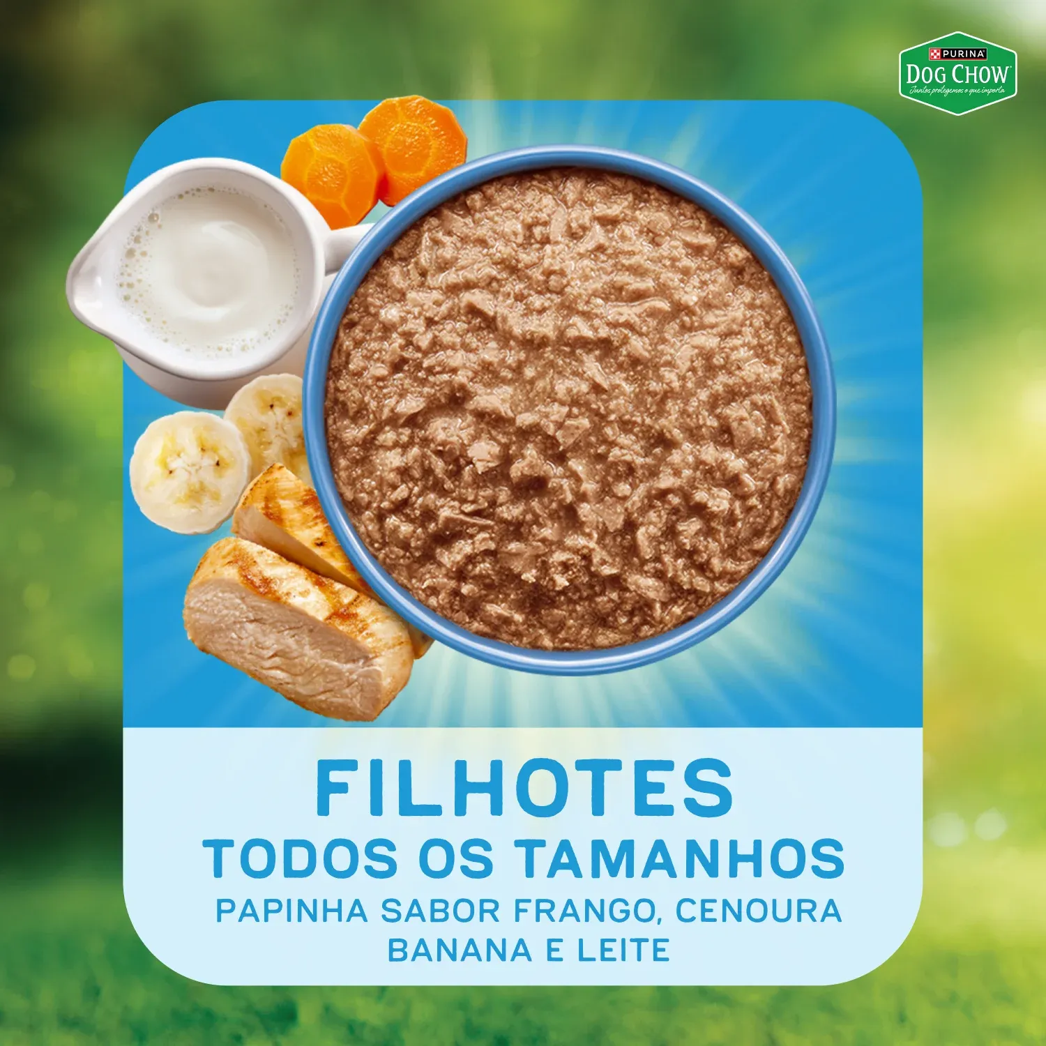 Racao-Umida-Dog-Chow-Caes-Filhotes-10