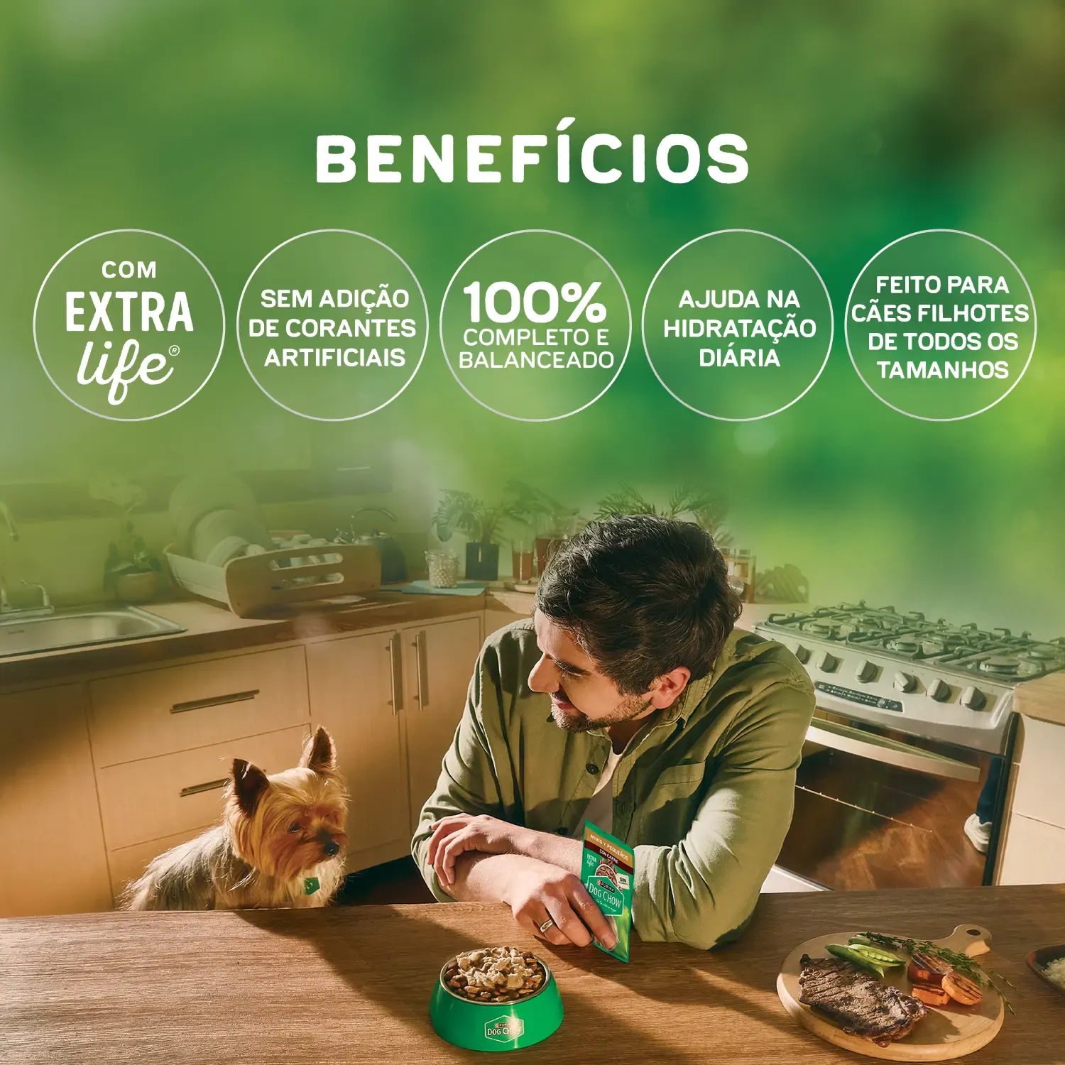 Racao-Umida-Dog-Chow-Caes-Filhotes-4