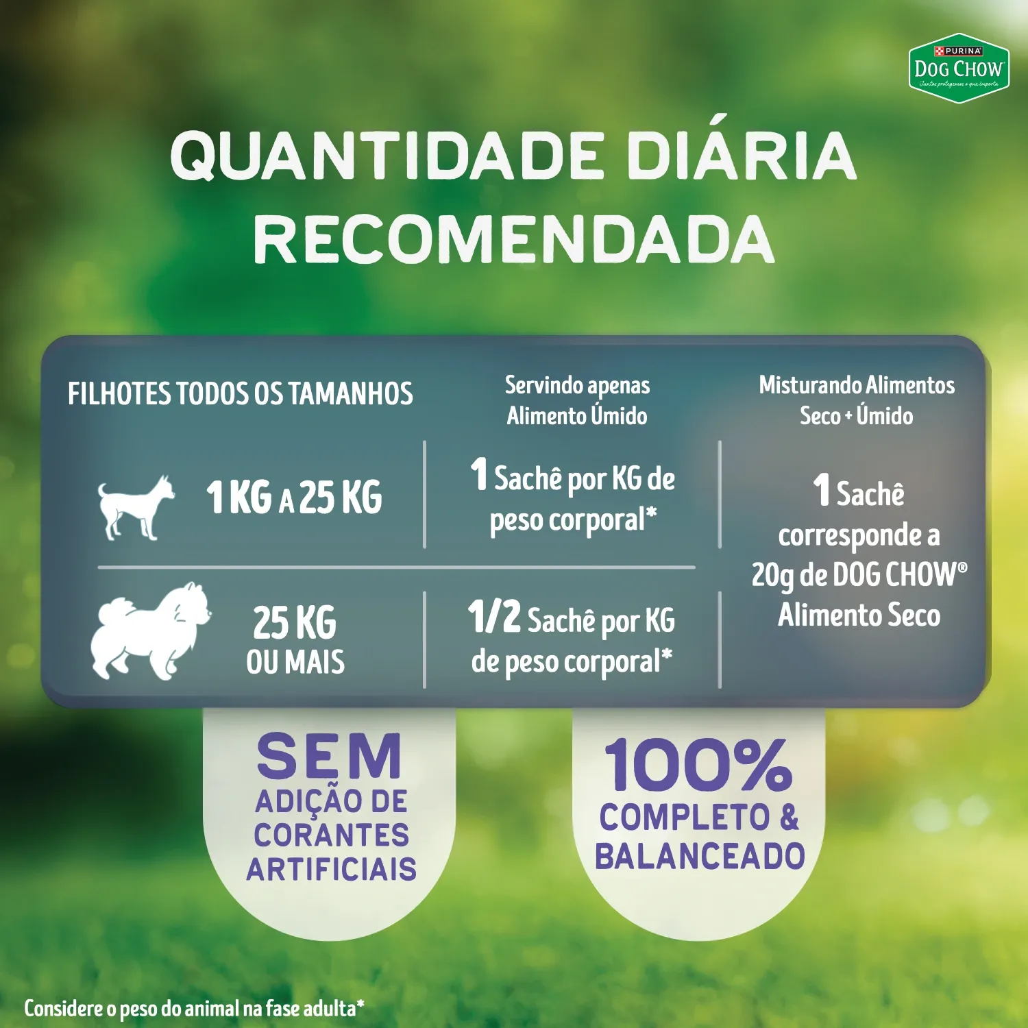 Racao-Umida-Dog-Chow-Caes-Filhotes-7