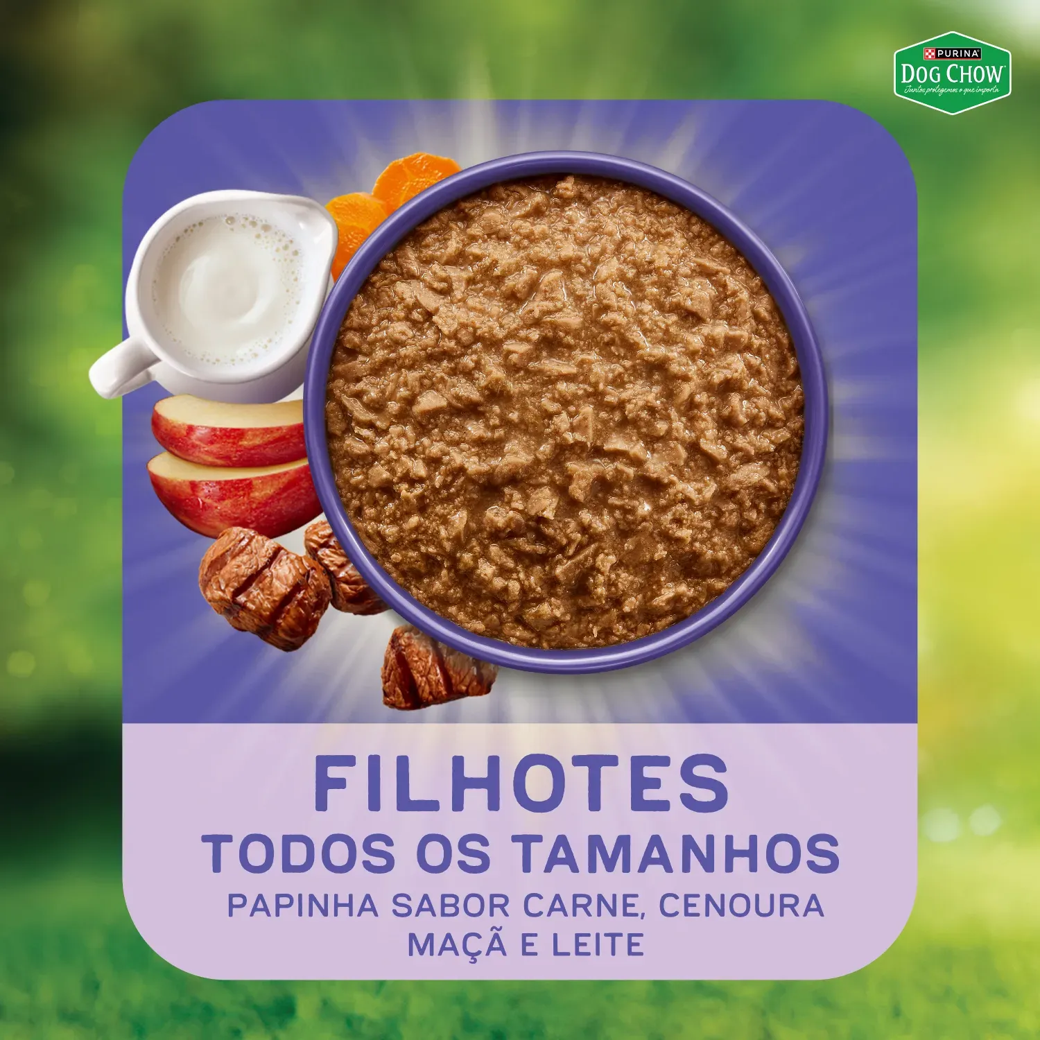 Racao-Umida-Dog-Chow-Caes-Filhotes-9