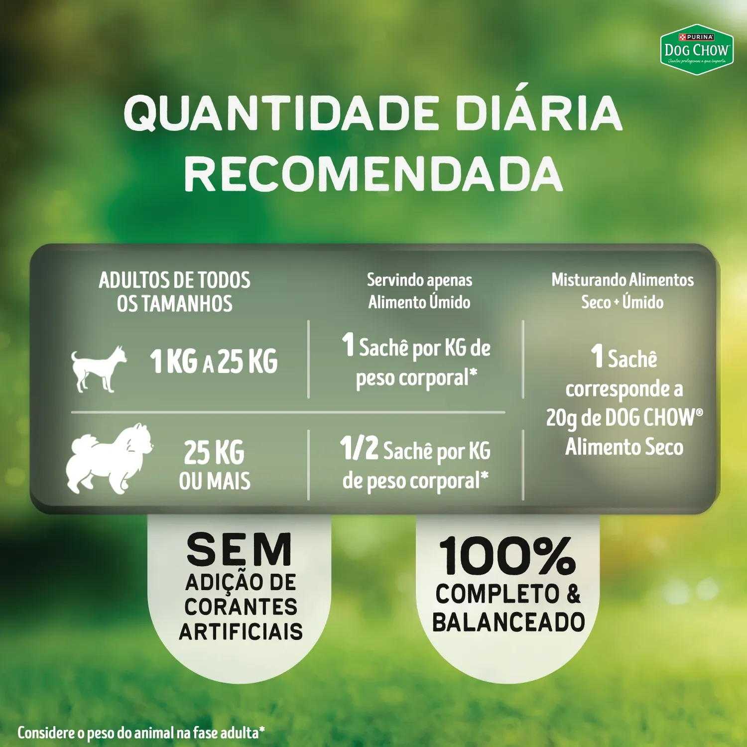 Racao-Umida-Dog-Chow-Caes-Adultos-Alta-Proteina-6