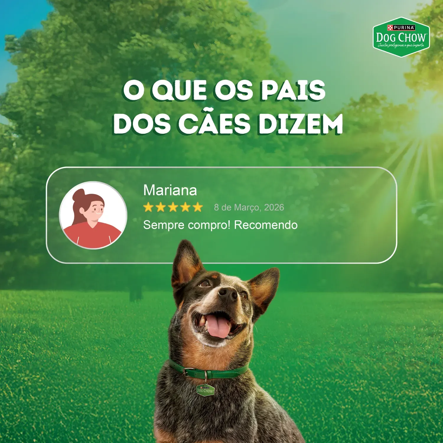 Racao-Umida-Dog-Chow-Caes-Adultos-Alta-Proteina-8
