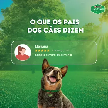 Racao-Umida-Dog-Chow-Caes-Adultos-Alta-Proteina-8