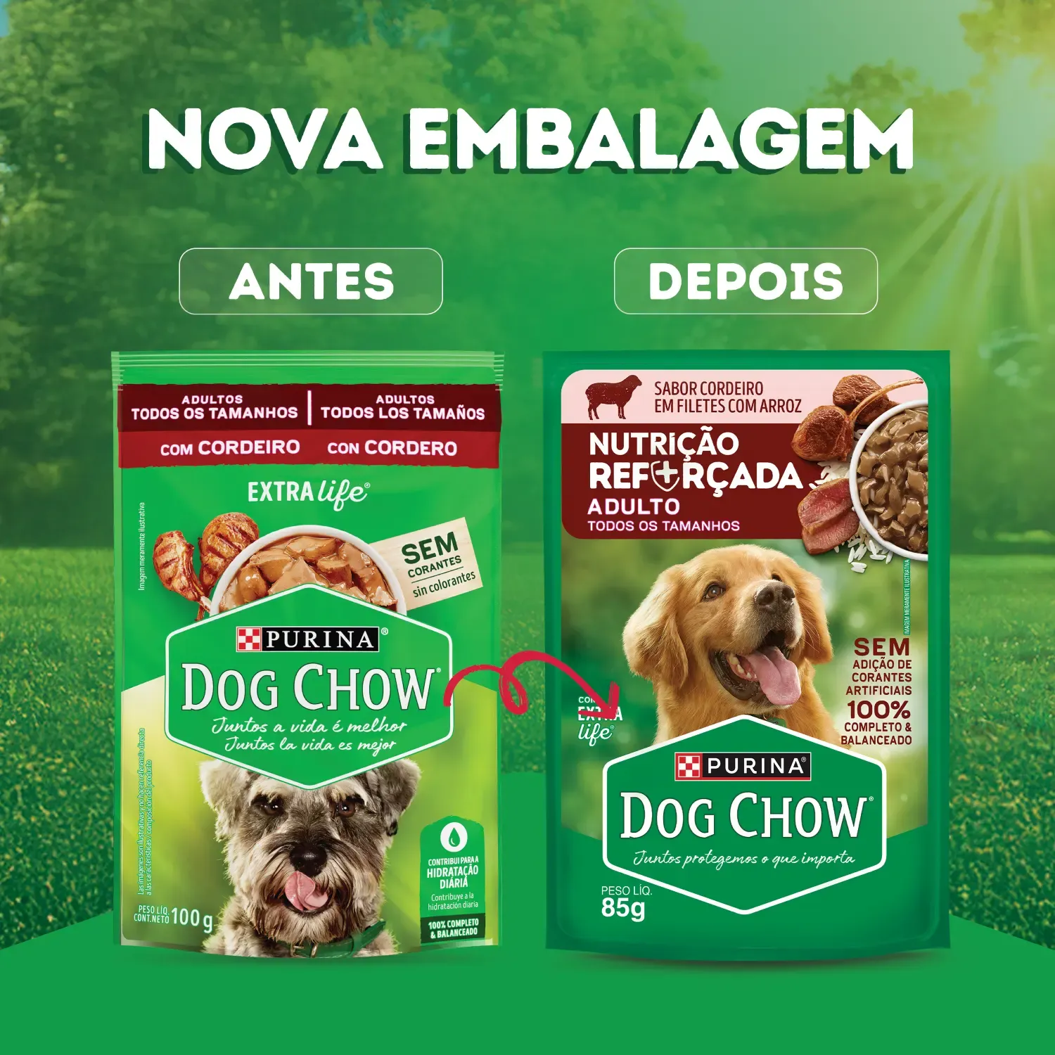Racao-Umida-Dog-Chow-Caes-Adultos-Nutricao--4