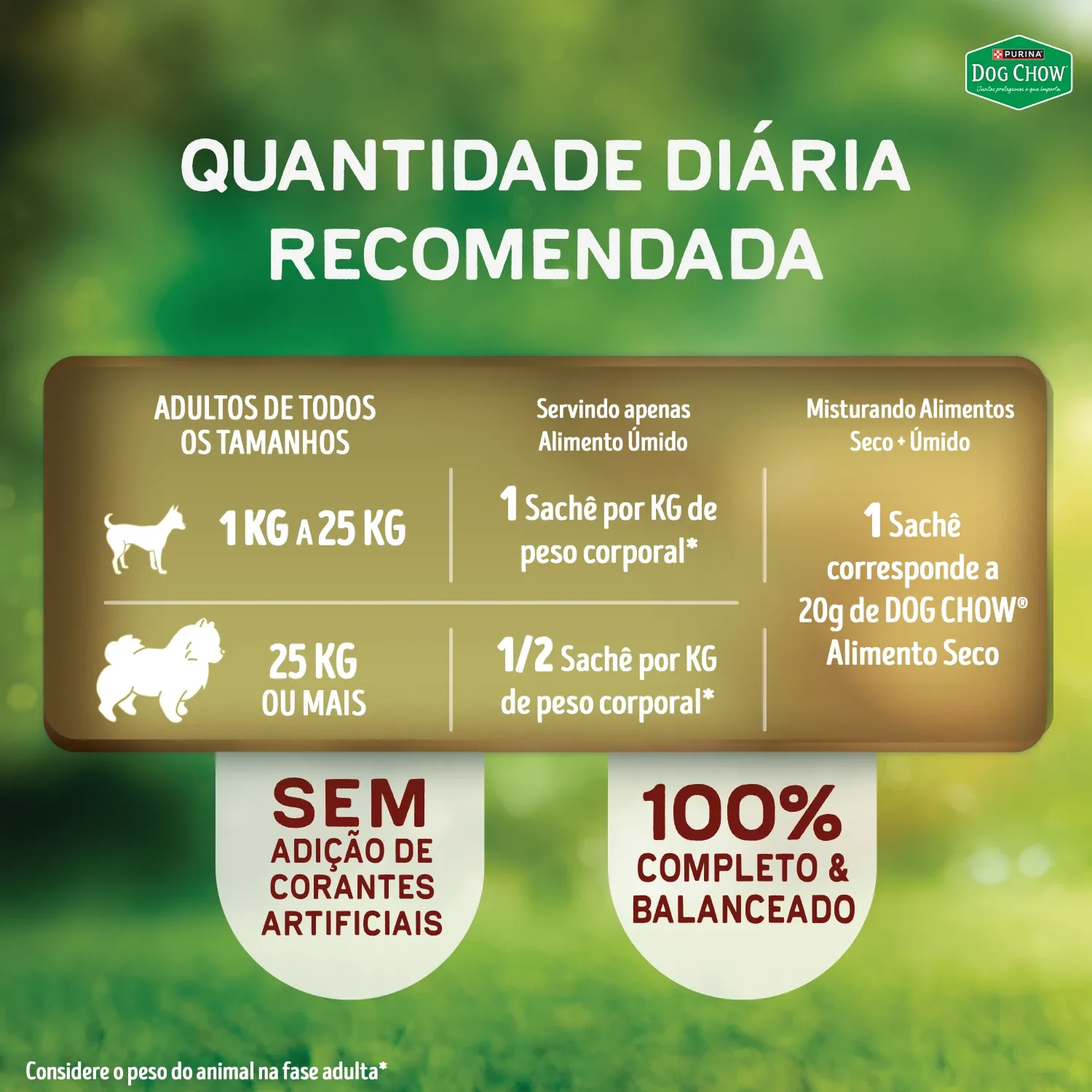 Racao-Umida-Dog-Chow-Caes-Adultos-Nutricao--8