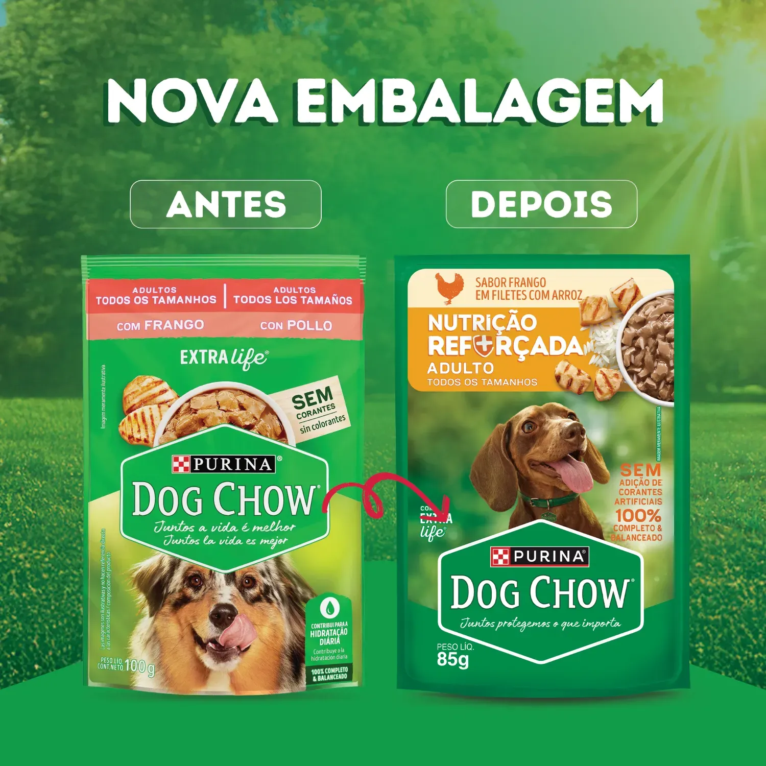 Racao-Umida-Dog-Chow-Caes-Adultos-Nutricao-4