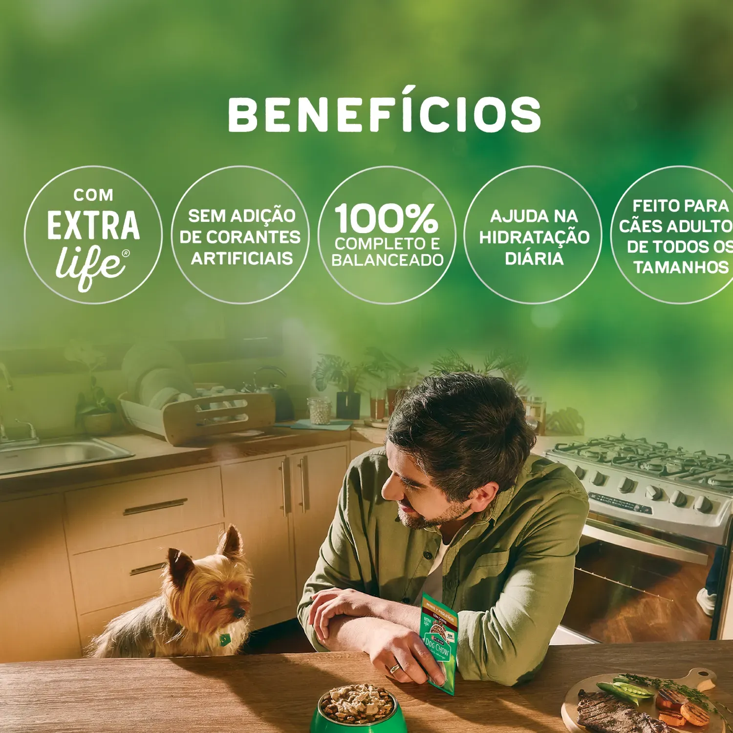 Racao-Umida-Dog-Chow-Caes-Adultos-Nutricao-5