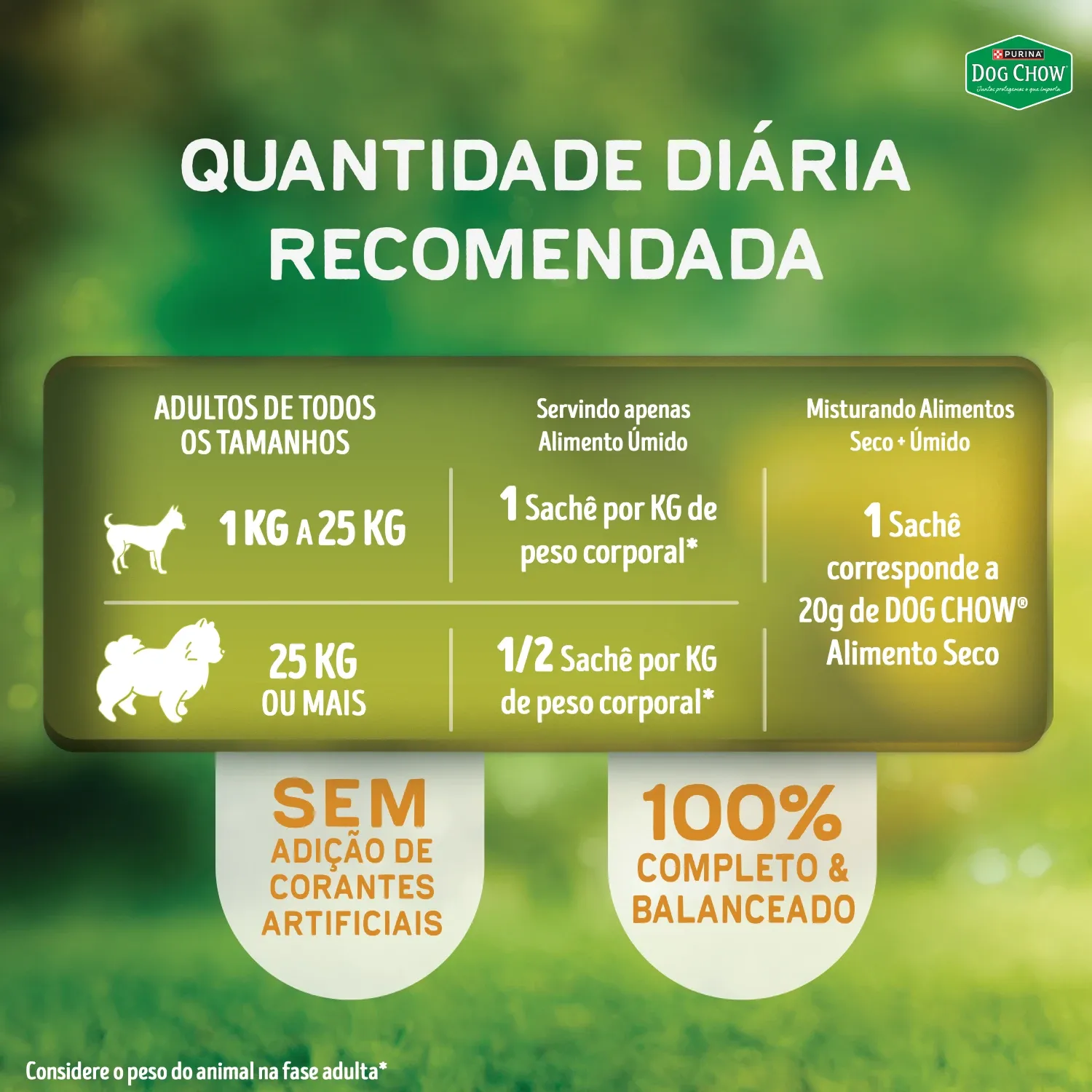 Racao-Umida-Dog-Chow-Caes-Adultos-Nutricao-8
