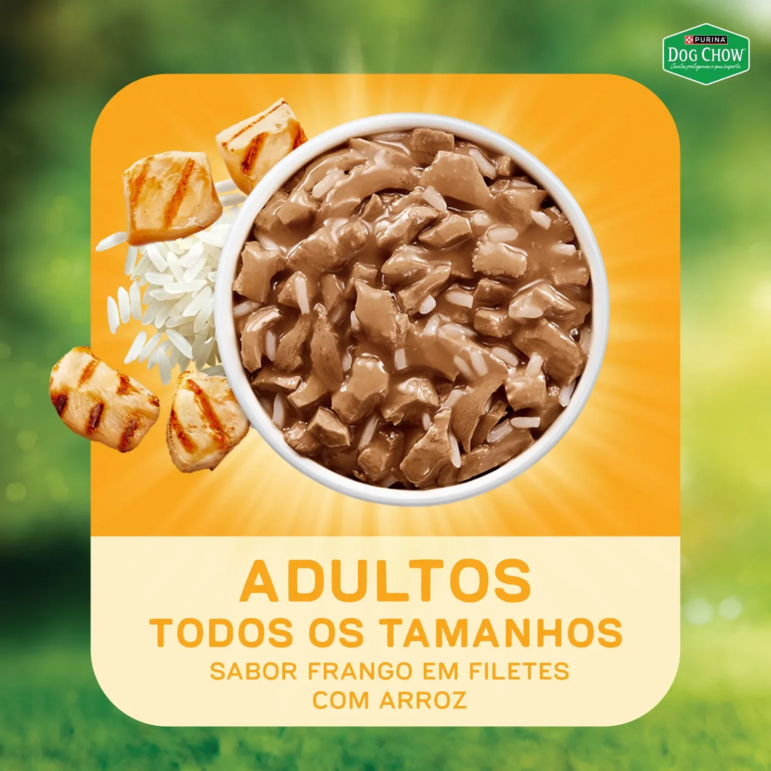 Racao-Umida-Dog-Chow-Caes-Adultos-Nutricao10