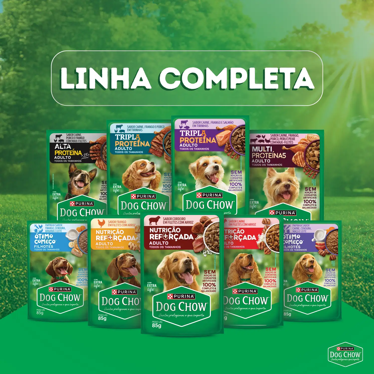 Racao-Umida-Dog-Chow-Caes-Adultos-Nutricao12