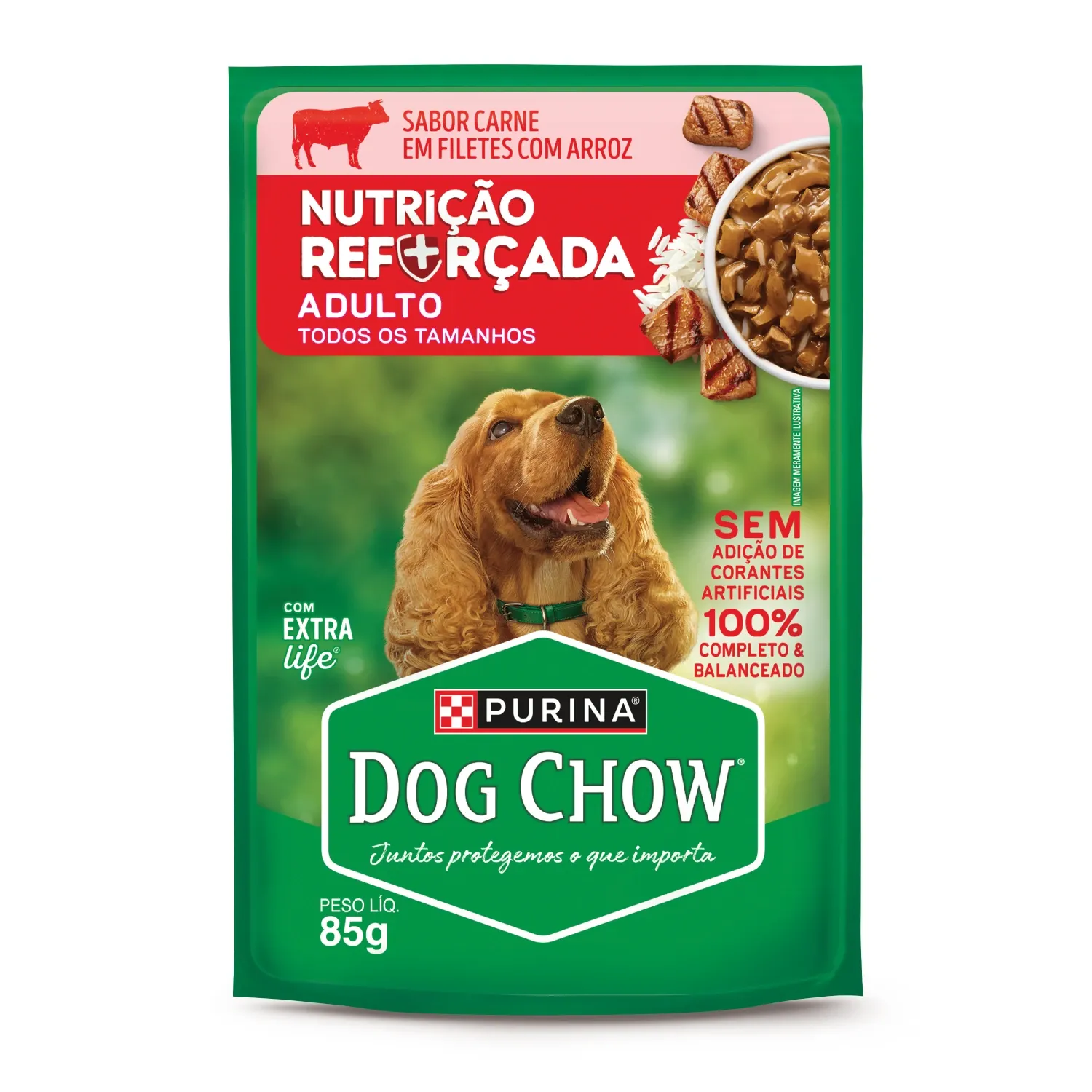 Ração Úmida Dog Chow Cães Adultos Nutrição Reforçada Carne em Filetes com Arroz