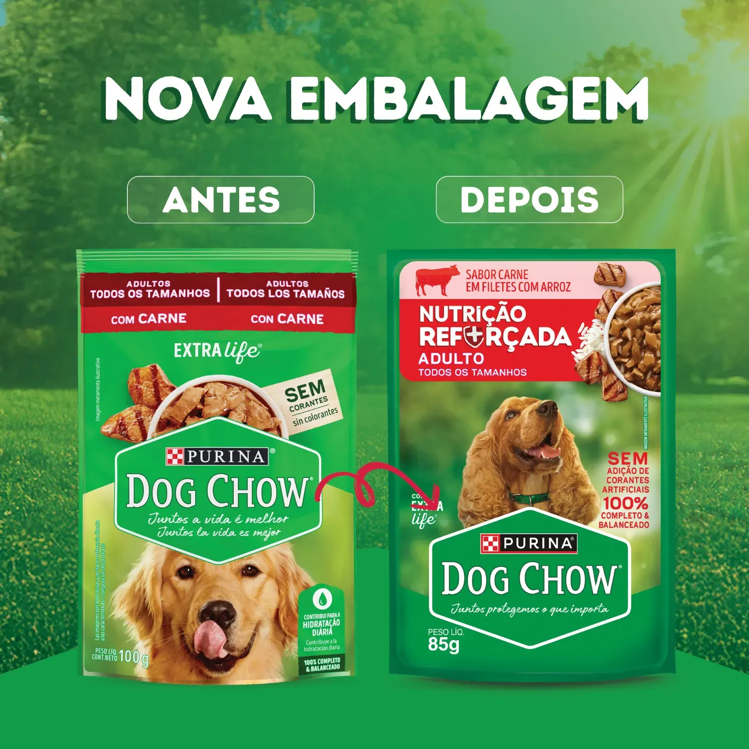 Racao-Umida-Dog-Chow-Caes-Adultos-Nutricao-4