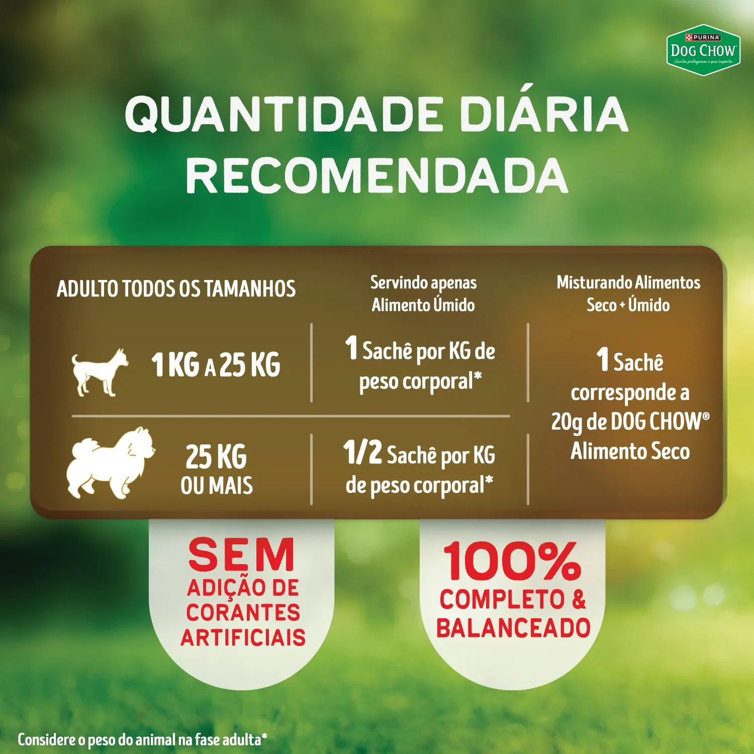 Racao-Umida-Dog-Chow-Caes-Adultos-Nutricao-8