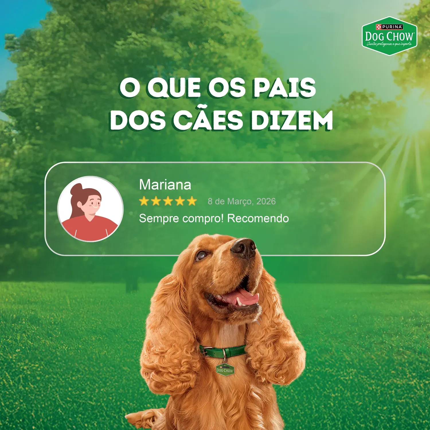 Racao-Umida-Dog-Chow-Caes-Adultos-Nutricao-9