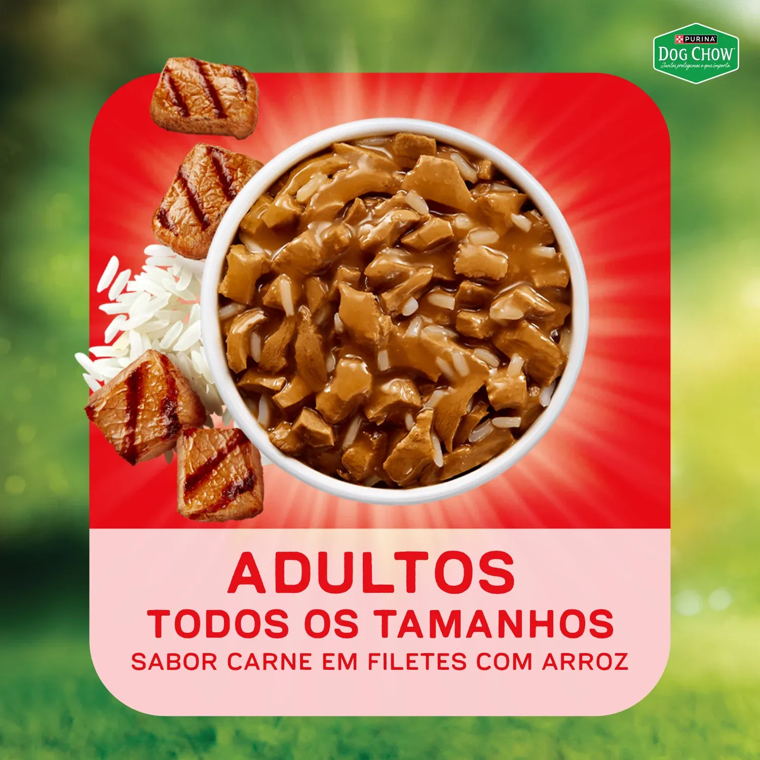 Racao-Umida-Dog-Chow-Caes-Adultos-Nutricao-10
