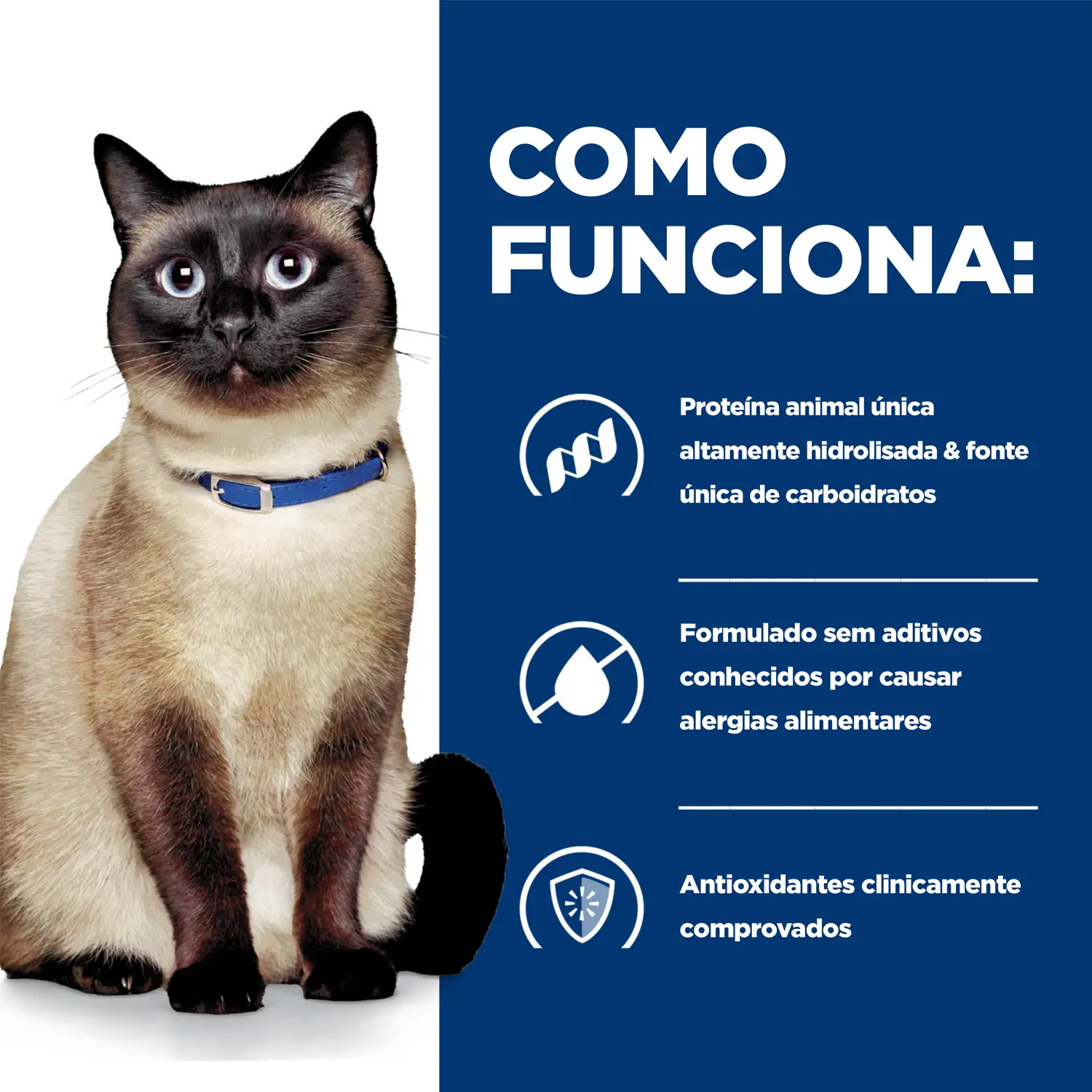 5-Racao-Umida-Hill-s-Prescription-Diet-ZD-Gatos